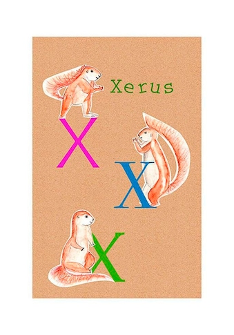 Poster »ABC Animal X«, Buchstaben, (1 St.)