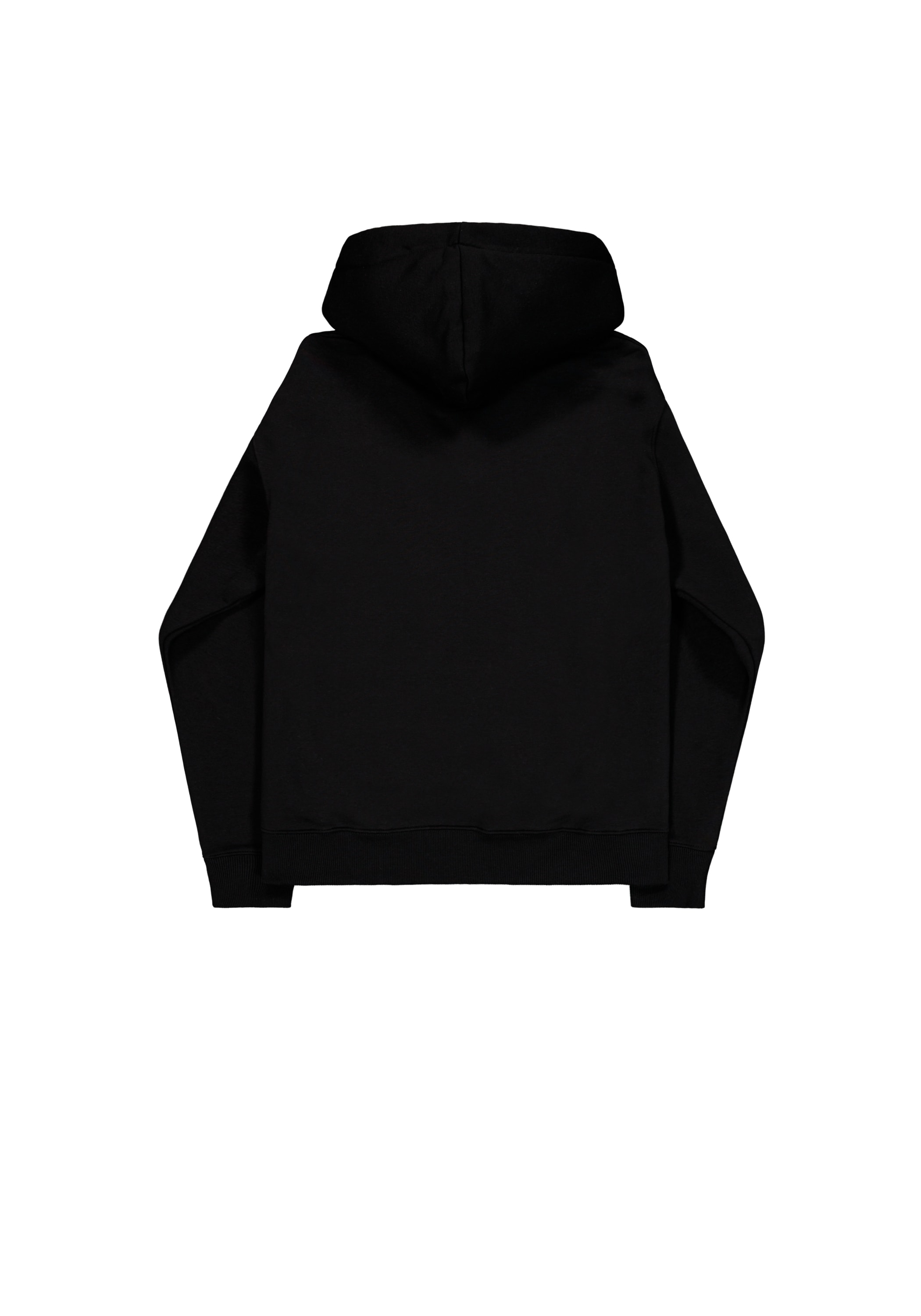 Alpha Industries Hoodie »Embroidery Hoodie«
