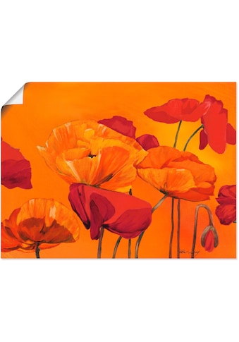 Artland Wandbild »Mohnblume«, Blumen, (1 St.), in vielen Größen & Produktarten -... kaufen