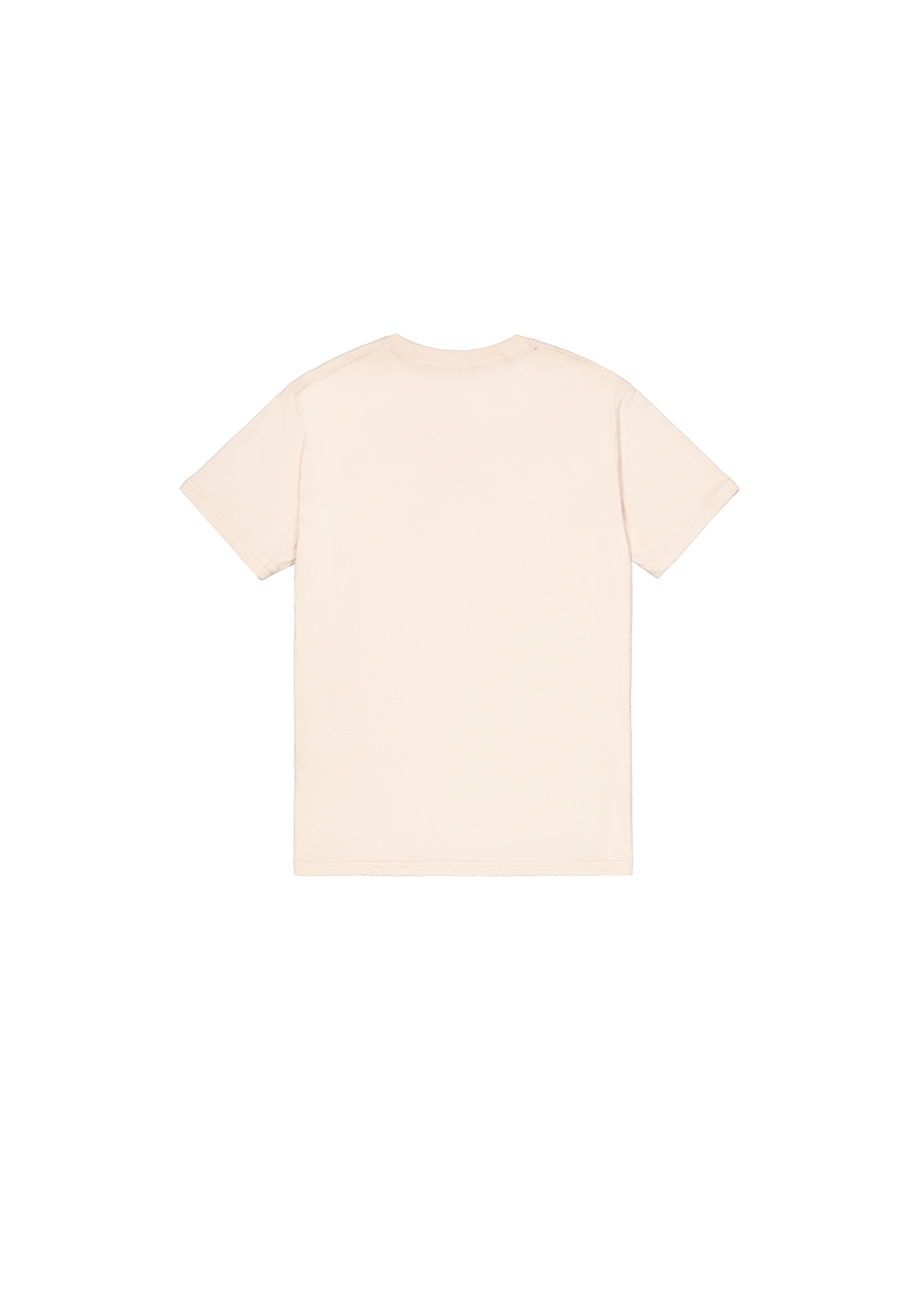 Alpha Industries T-Shirt »Alpha Wording T-Shirt«