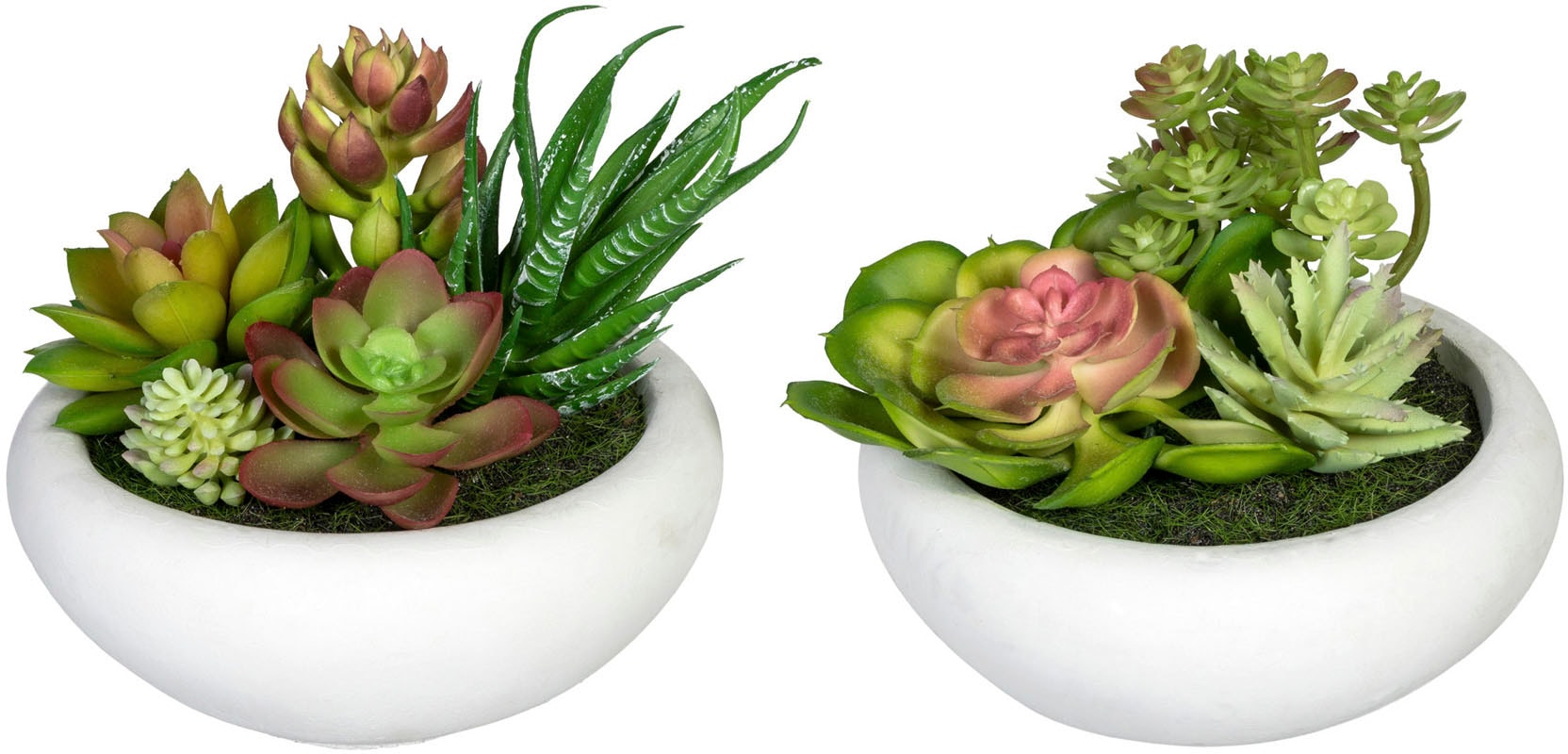 Creativ green Künstliche Zimmerpflanze »Sukkulenten«, (3 St.), im  Melamintopf, 3er Set kaufen im OTTO Online Shop