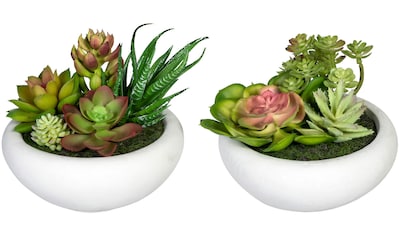Creativ green Künstliche Zimmerpflanze »Sukkulenten«, (3 St.), im  Melamintopf, 3er Set kaufen im OTTO Online Shop