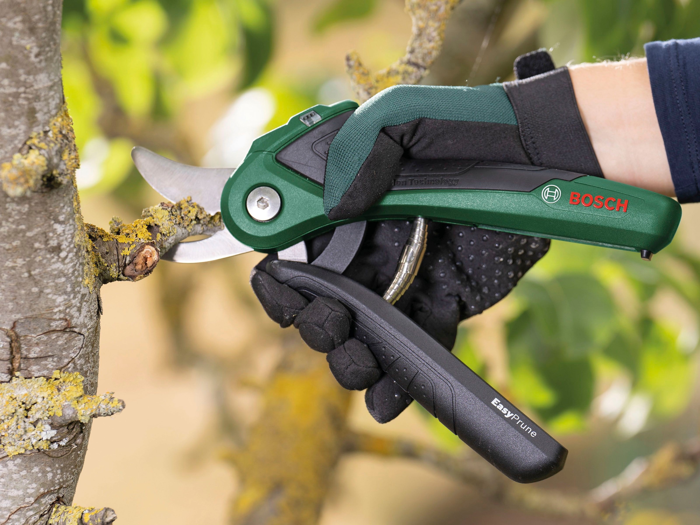 Bosch Home & Garden Akku-Astschere »EasyPrune«, mit Akku 3,6V und USB-Ladekabel