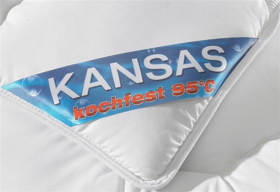 f.a.n. Schlafkomfort Microfaserbettdecke + Kopfkissen »Kansas«, (Spar-Set),  Bettwaren-Set Topseller, in 135x200 cm, für Sommer oder Winter bestellen  bei OTTO