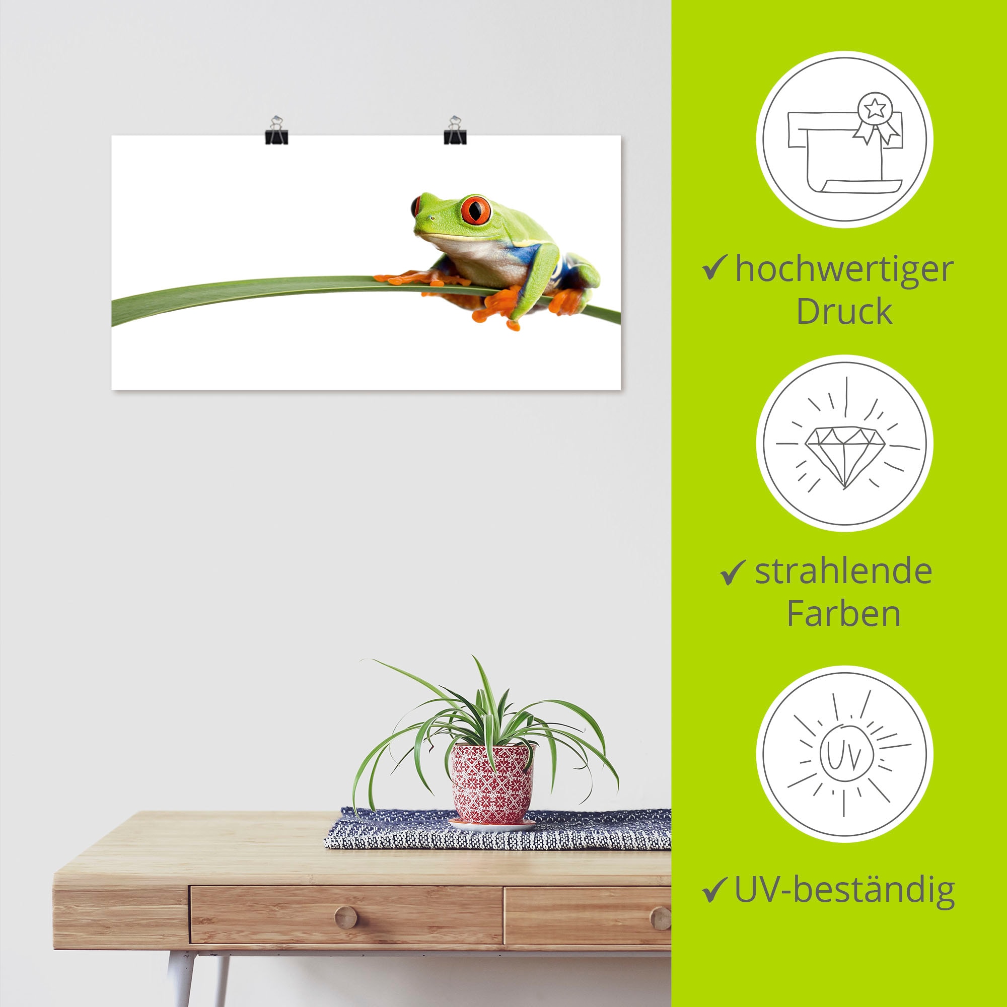 Artland Wandbild »Frosch auf einem Blatt« Wassertiere 1 Stk. tlg. als Alubild, Outdoorbild, Leinwandbild, Poster, Wandaufkleber