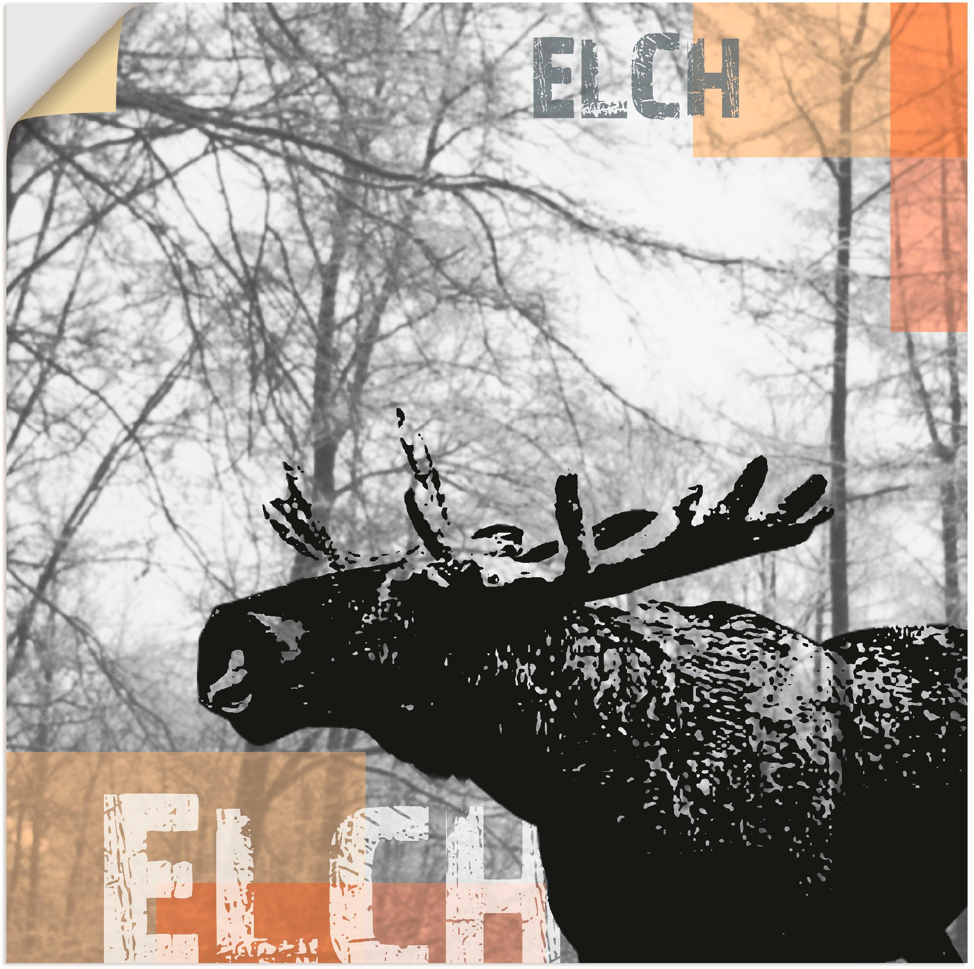 Artland Wandbild »Elch«, Wildtiere, (1 St.), in vielen Größen & Produktarten - Alubild / Outdoorbild für den Außenbereich, Leinwandbild, Poster, Wandaufkleber / Wandtattoo auch für Badezimmer geeignet