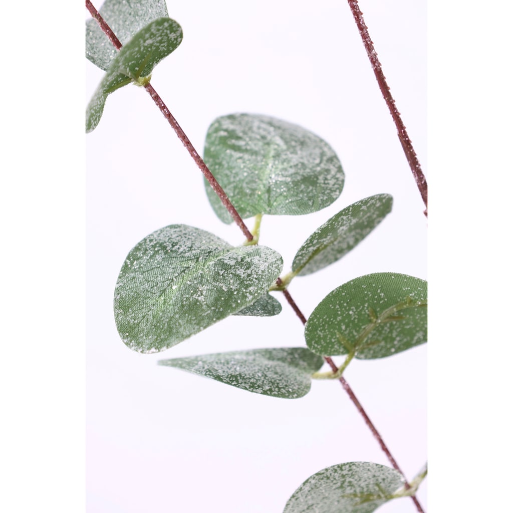 I.GE.A. Winterliche Kunstpflanze »Kunstzweig, Eukalyptuszweig, Weihnachtsdeko,«