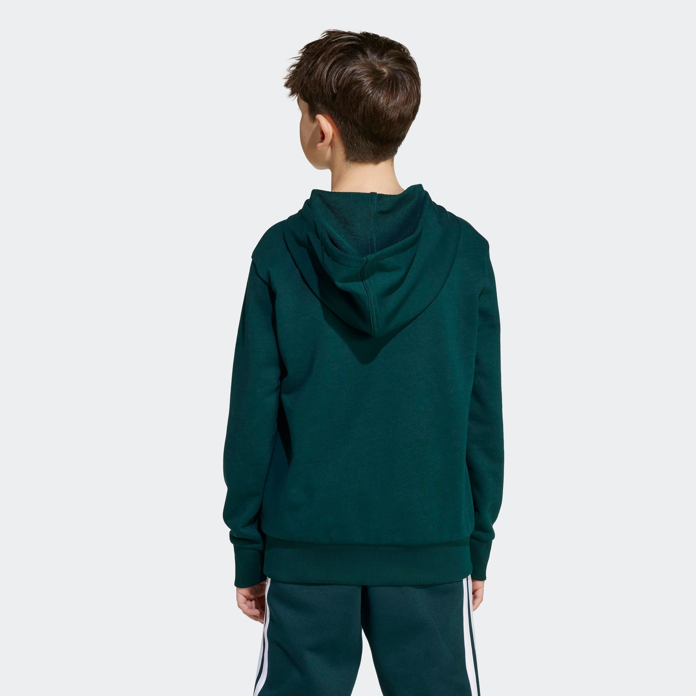 adidas Sportswear Kapuzensweatshirt »J BL FT HD 280«