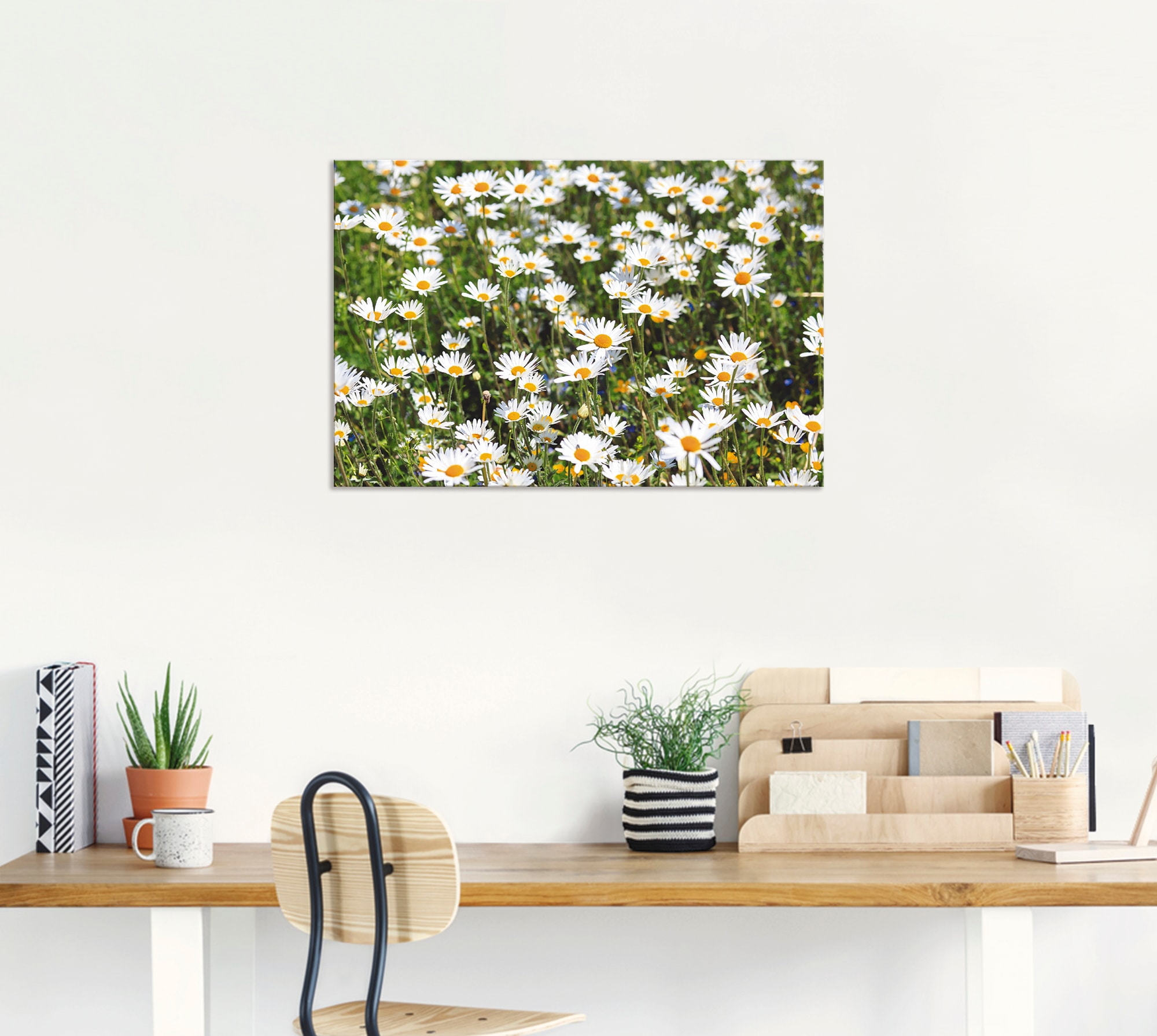 Artland Wandbild »Gänseblümchen«, Blumen, (1 St.), als Alubild, Outdoorbild, Leinwandbild in verschied. Größen