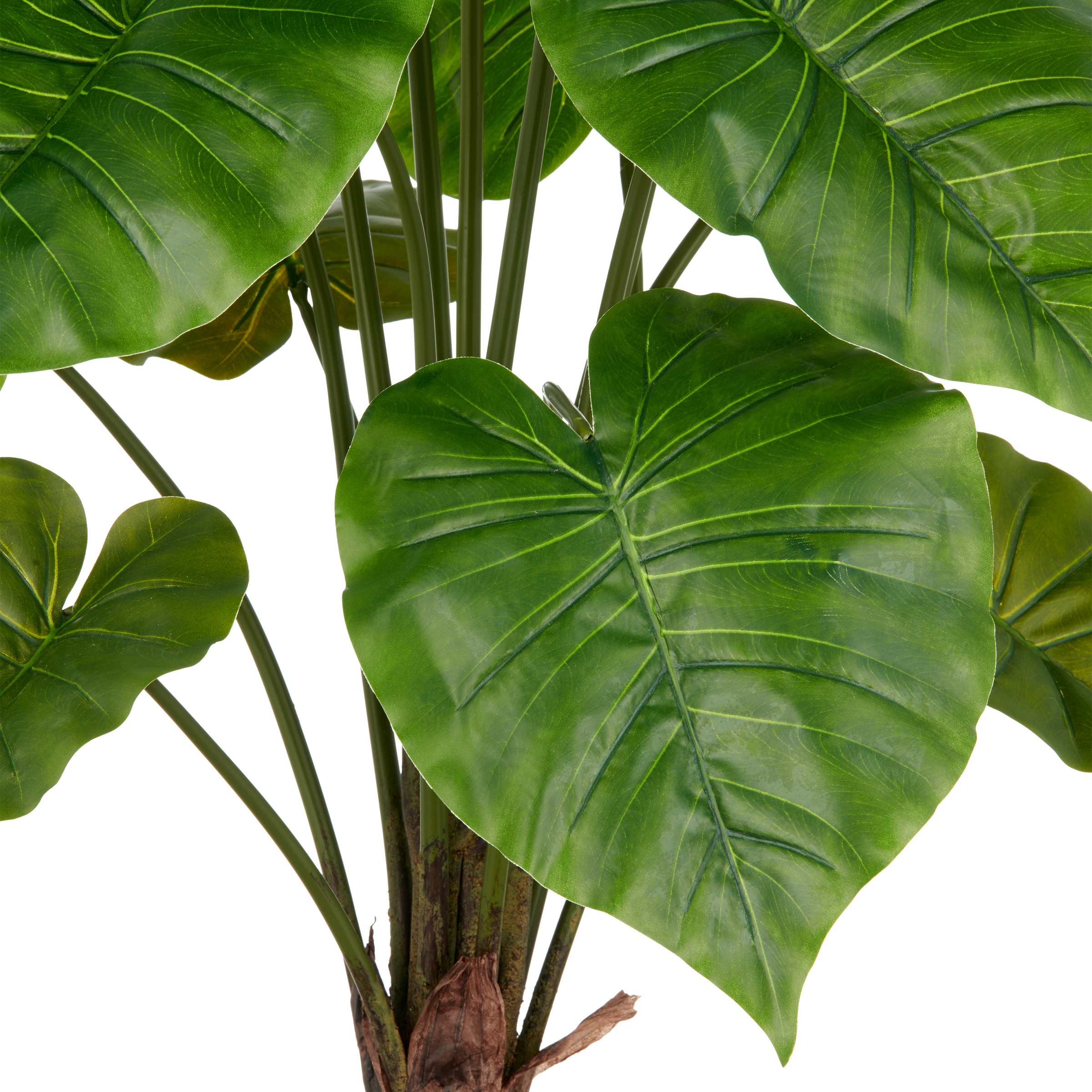 Creativ green Kunstpflanze »Alocasia Wentii« mit naturgetreuem Blattwerk