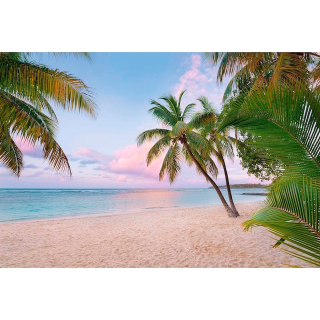 Komar Vliestapete »Paradise Morning«, 368x248 cm (Breite x Höhe), inklusive  Kleister online kaufen bei OTTO