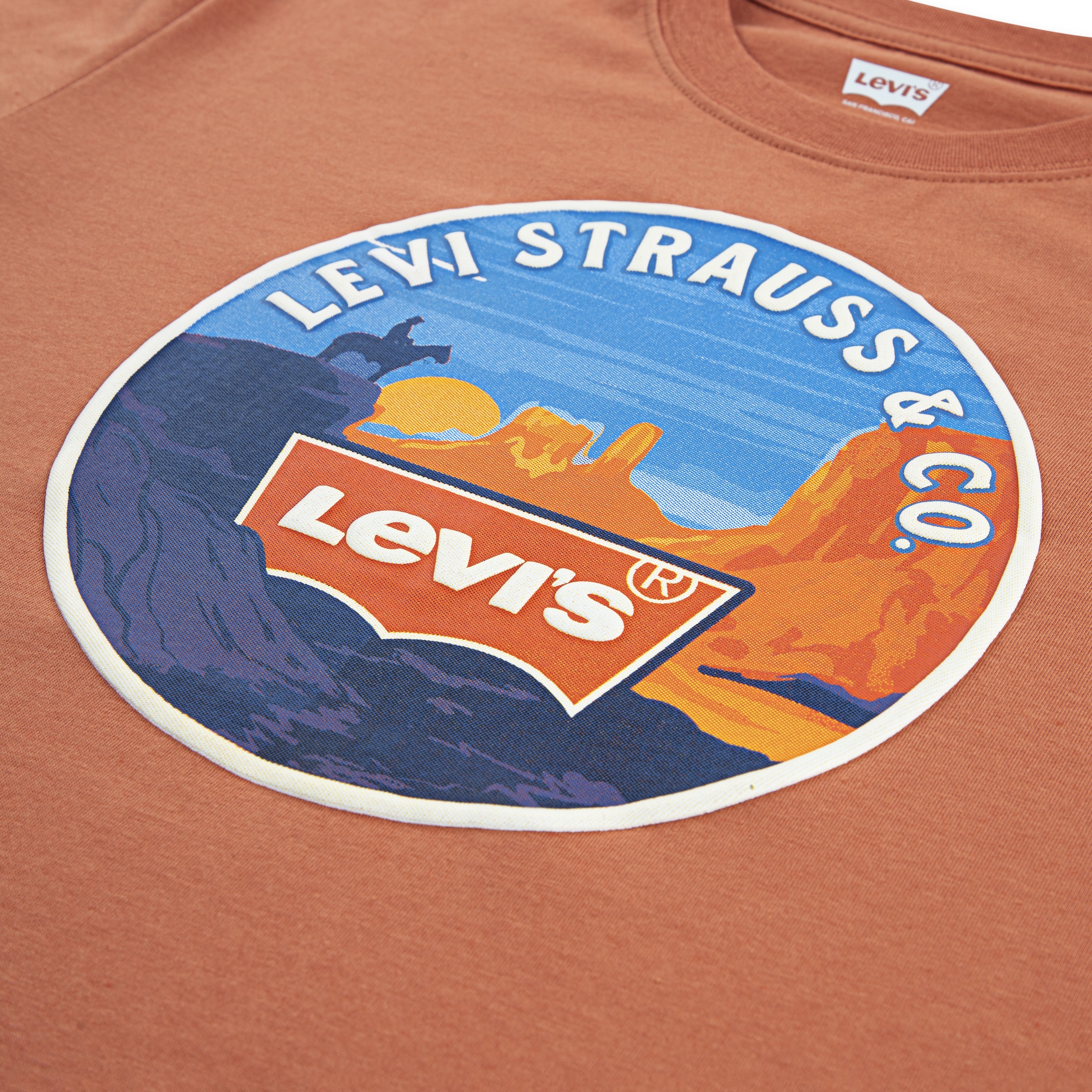Levi's® Kids T-Shirt »LVB DESERT TRAIL TEE«, mit Wüstenprint, for Boys