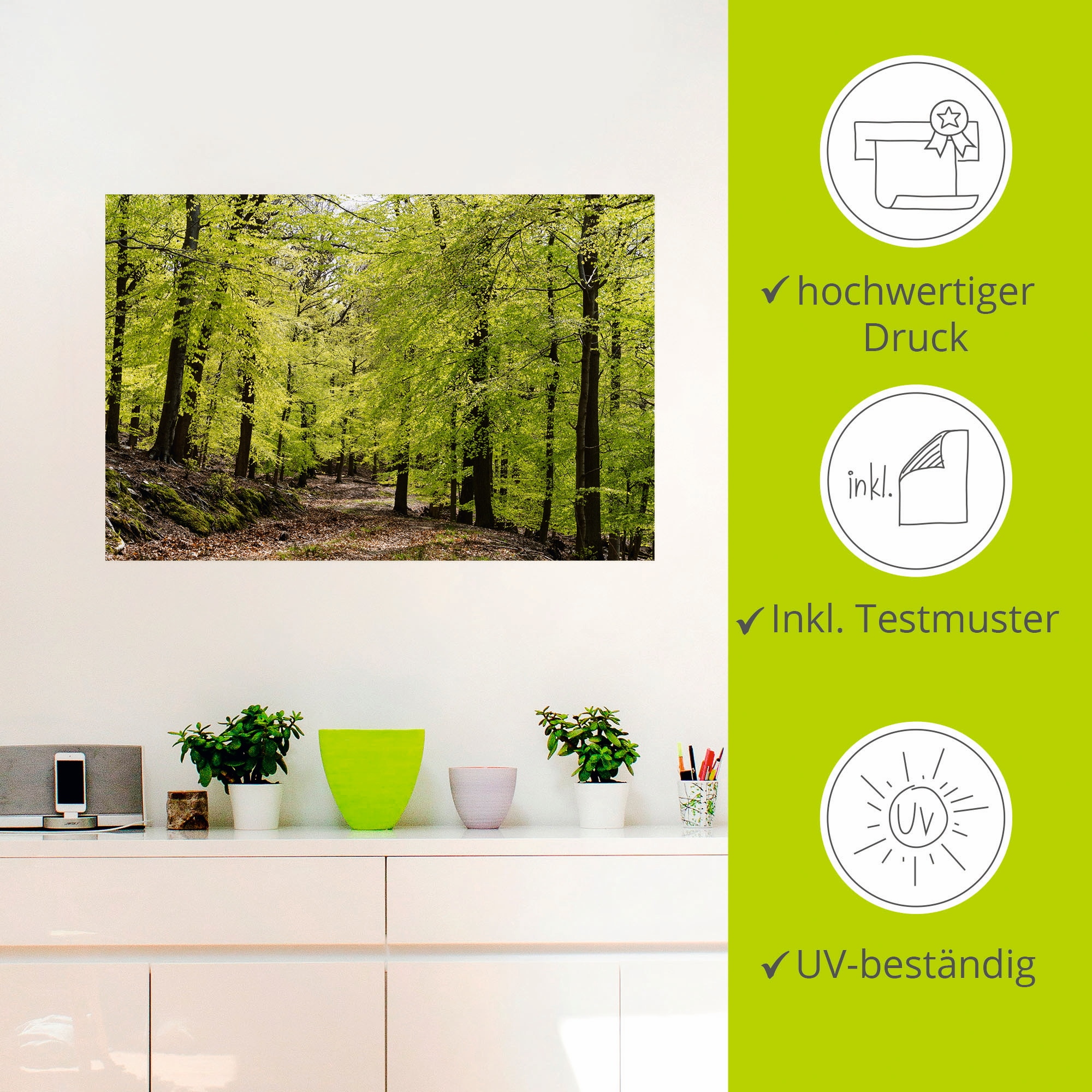 Artland Wandbild »Die Buchen im Frühling«, Wald, (1 St.), als Alubild, Outdoorbild, Leinwandbild, Poster, Wandaufkleber