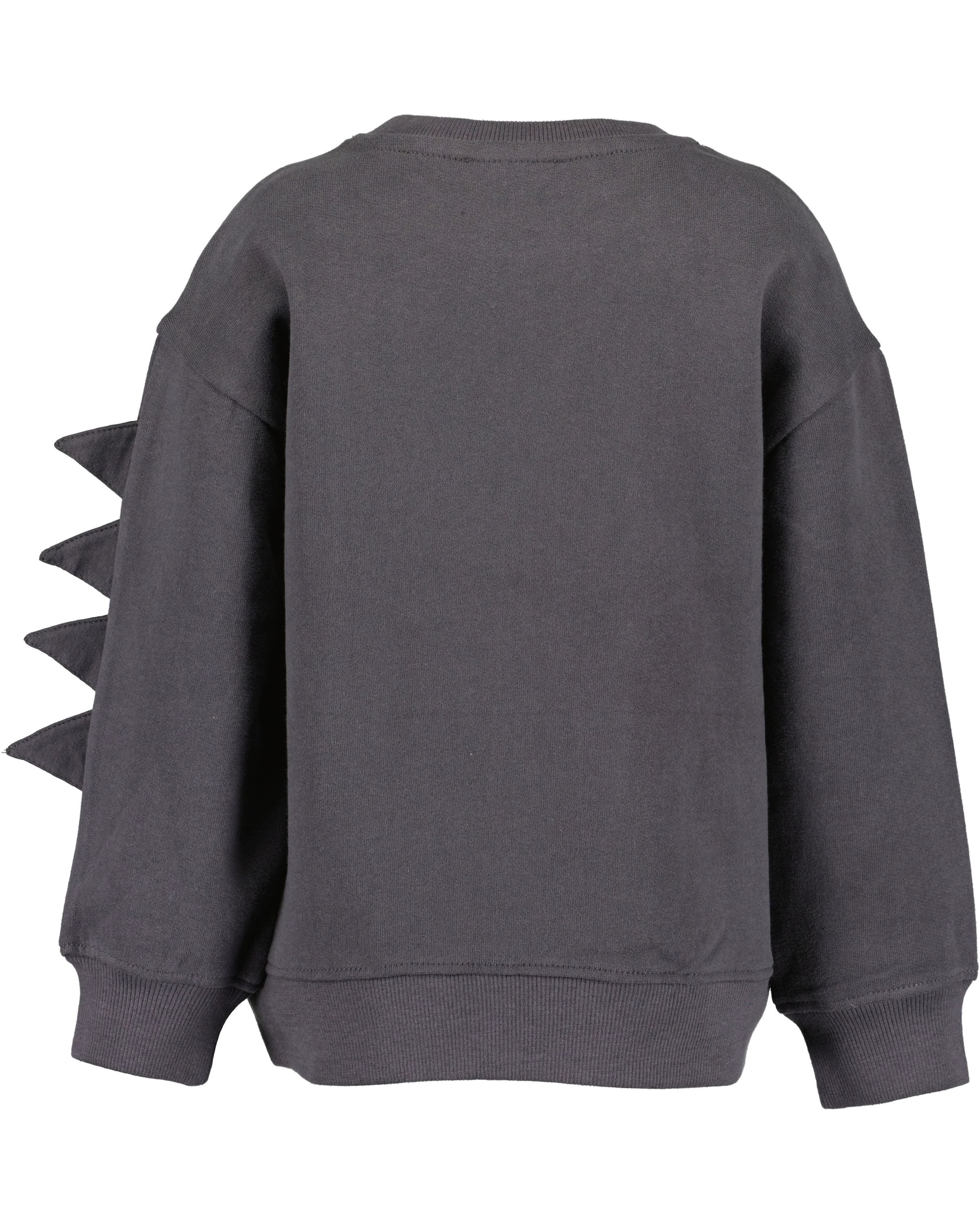 Blue Seven Sweater »Blue Seven Sweatshirt«