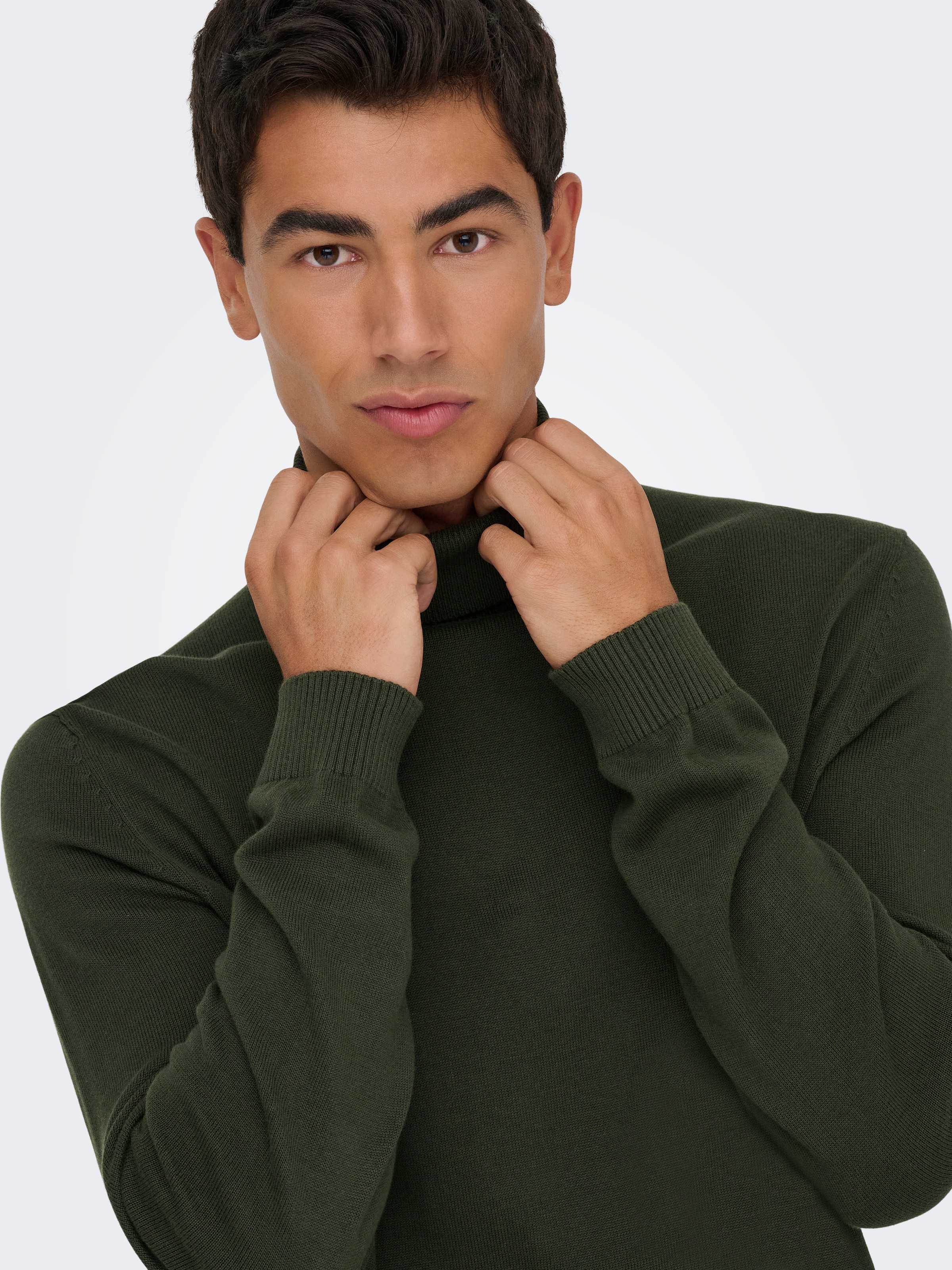 ONLY & SONS Rollkragenpullover »ONSHOLGER REG ROLL NECK KNIT - OTL«