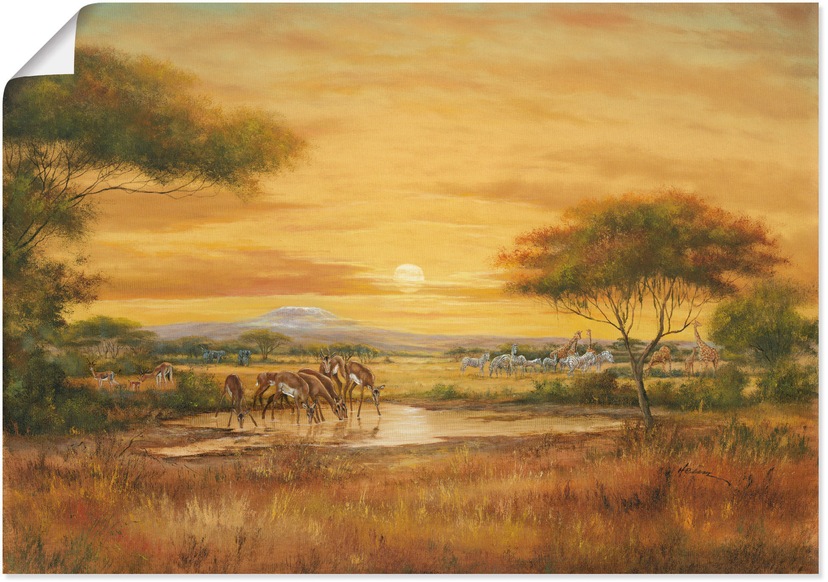 Artland Wandbild »Tiger«, Wildtiere, (1 St.), als Alubild, Leinwandbild,  Wandaufkleber oder Poster in versch. Größen bei OTTO