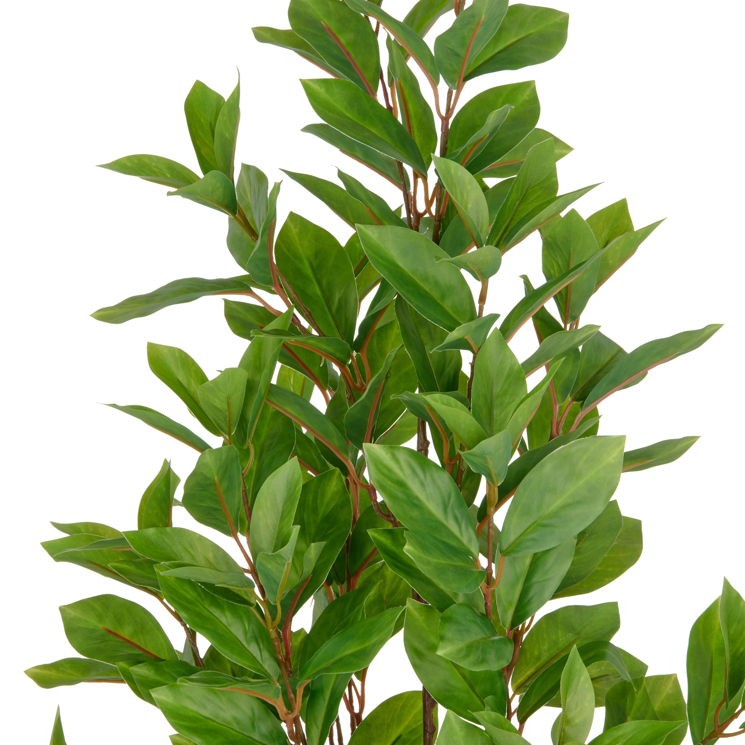 Creativ green Kunstpflanze »Epipremnum« mit schönem Blattwerk