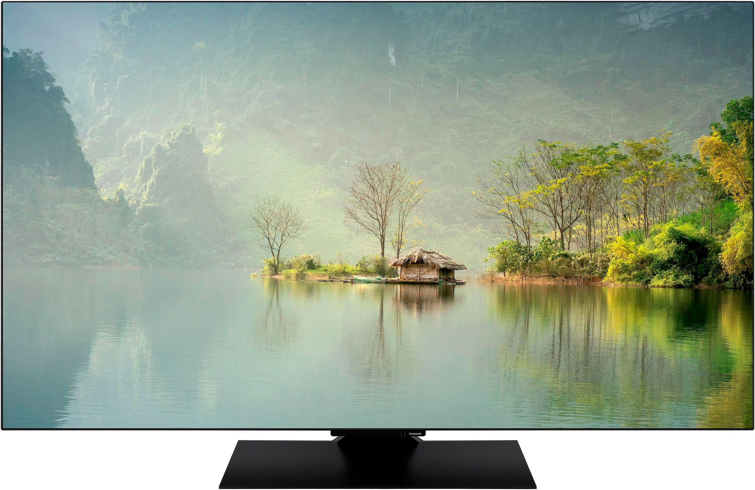 Panasonic OLED-Fernseher »TV-65Z80AEZ«, 4K Ultra HD, Smart-TV