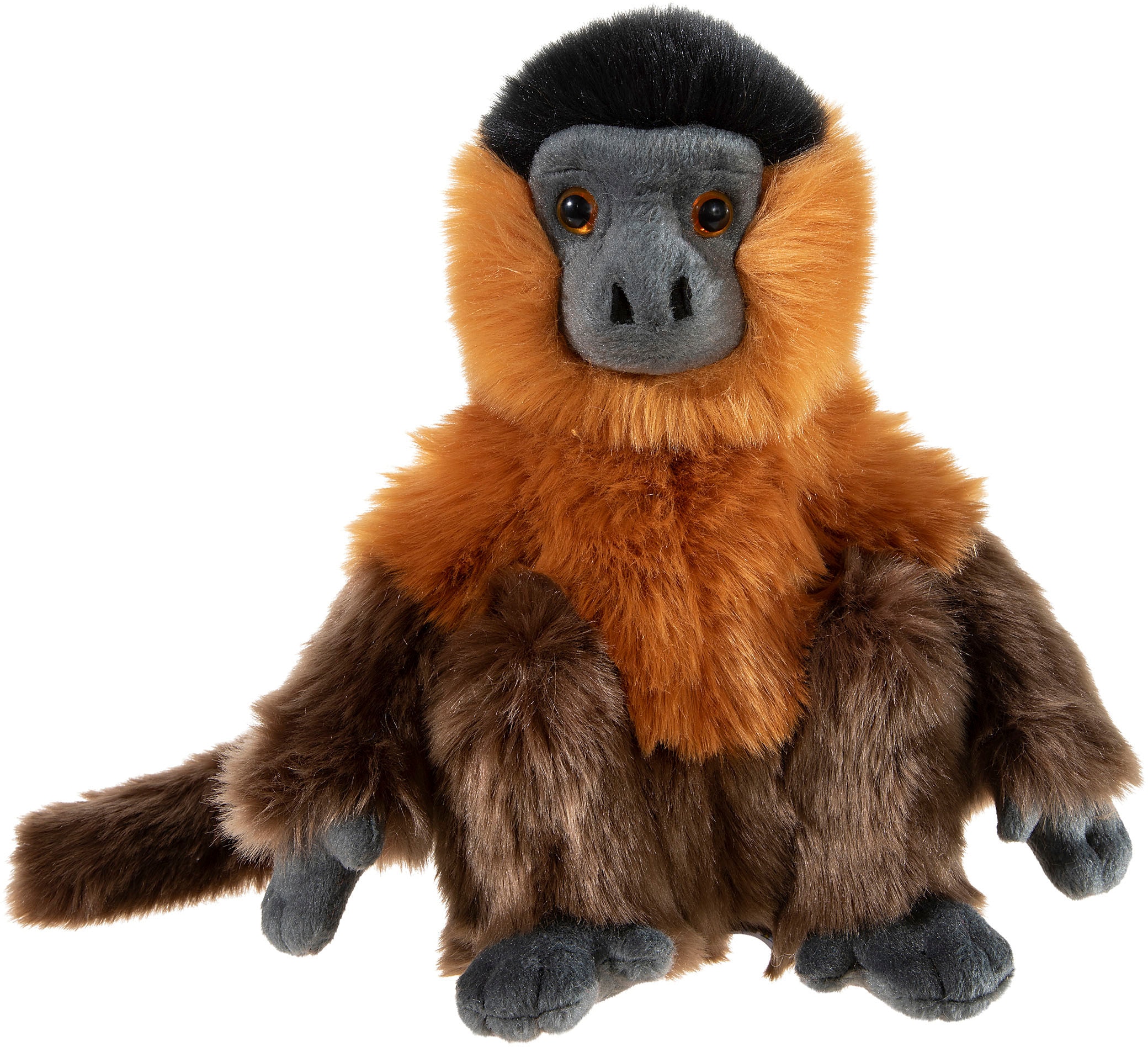 Heunec Kuscheltier »Bedrohte Tiere, Kapuzineraffe 24 cm« in braun