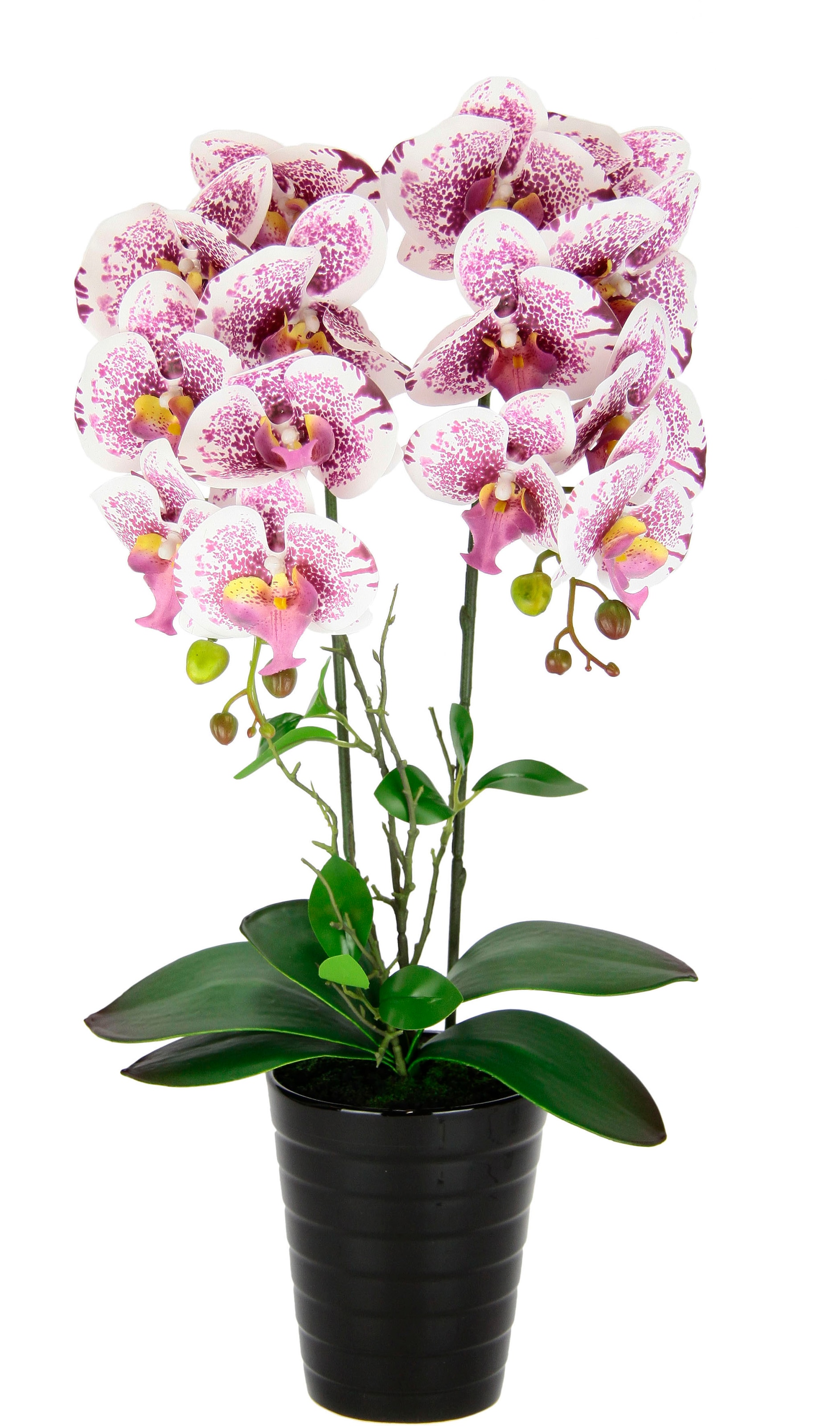 Kunstblume »Orchidee«, Im Topf Phalaenopsis Orchidee Phalaenopsis mit Übertopf Hochzeit