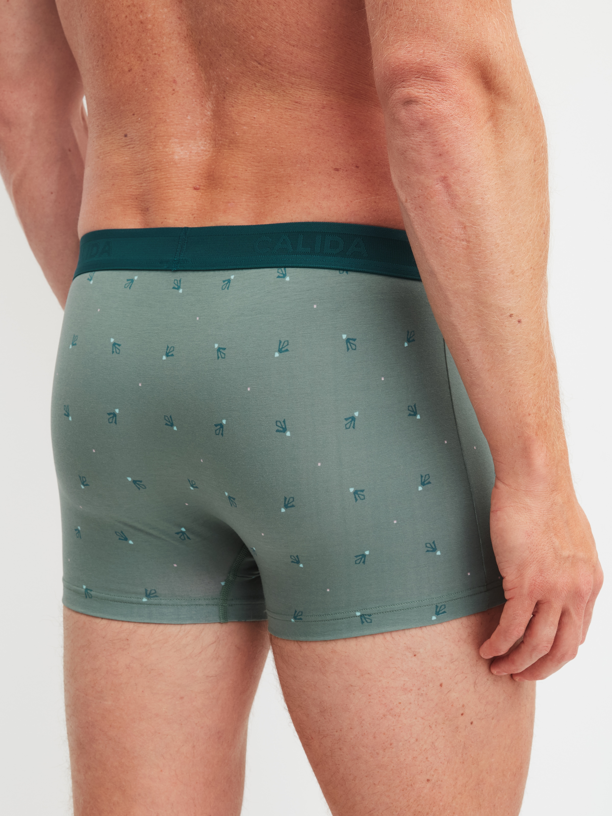 CALIDA Boxer »Grafic Cotton« ohne Eingriff, mit Softgummibund, Single-Jersey, elastisch