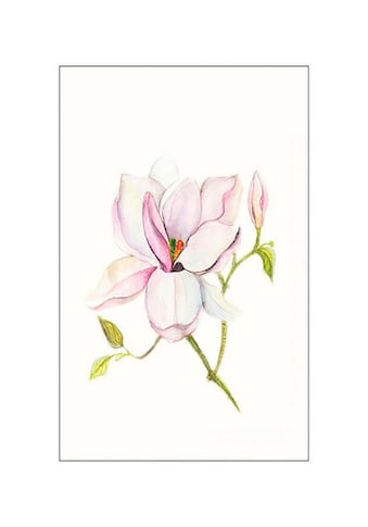 Komar Poster »Magnolia Shine«, Pflanzen-Blätter, Höhe: 70cm kaufen