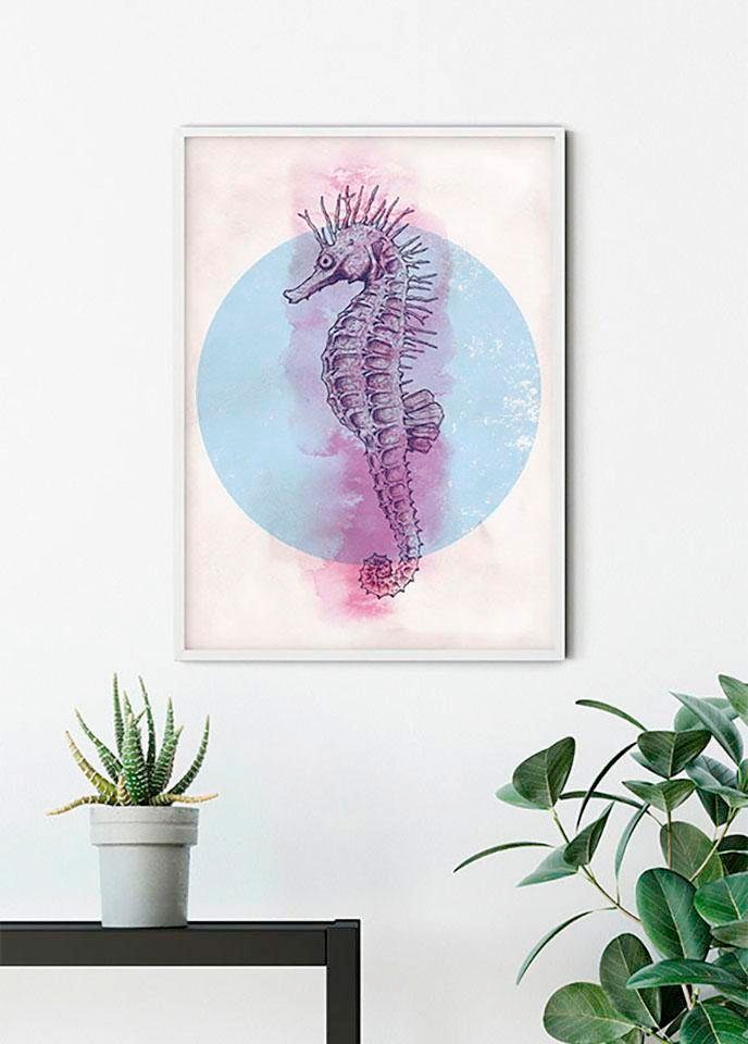 Komar Bild »Sea Horse Circle«, Tiere, (1 St.), Wandbild zur Dekoration - ohne Rahmen