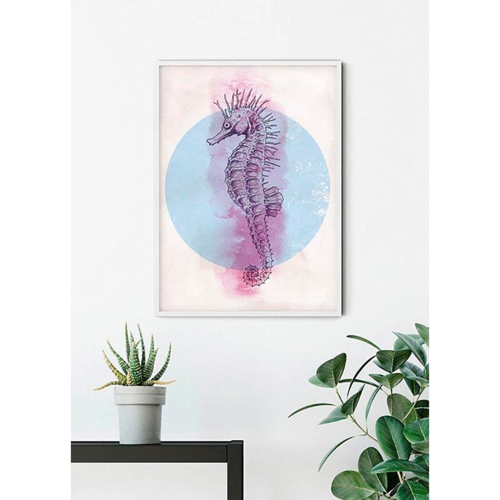 Komar Poster »Sea Horse Circle«, Tiere, (1 St.)