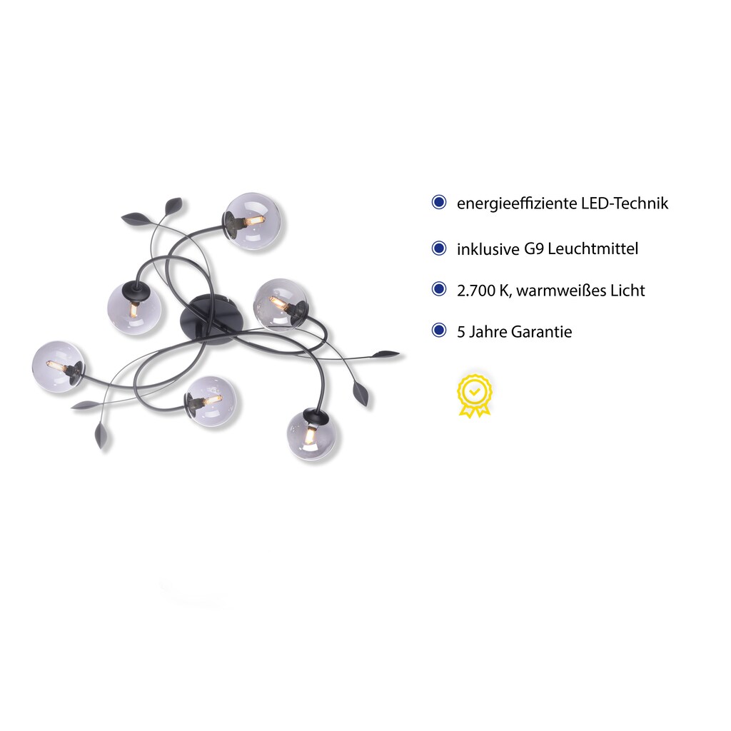 Paul Neuhaus LED Deckenleuchte »WIDOW«, 6 flammig-flammig