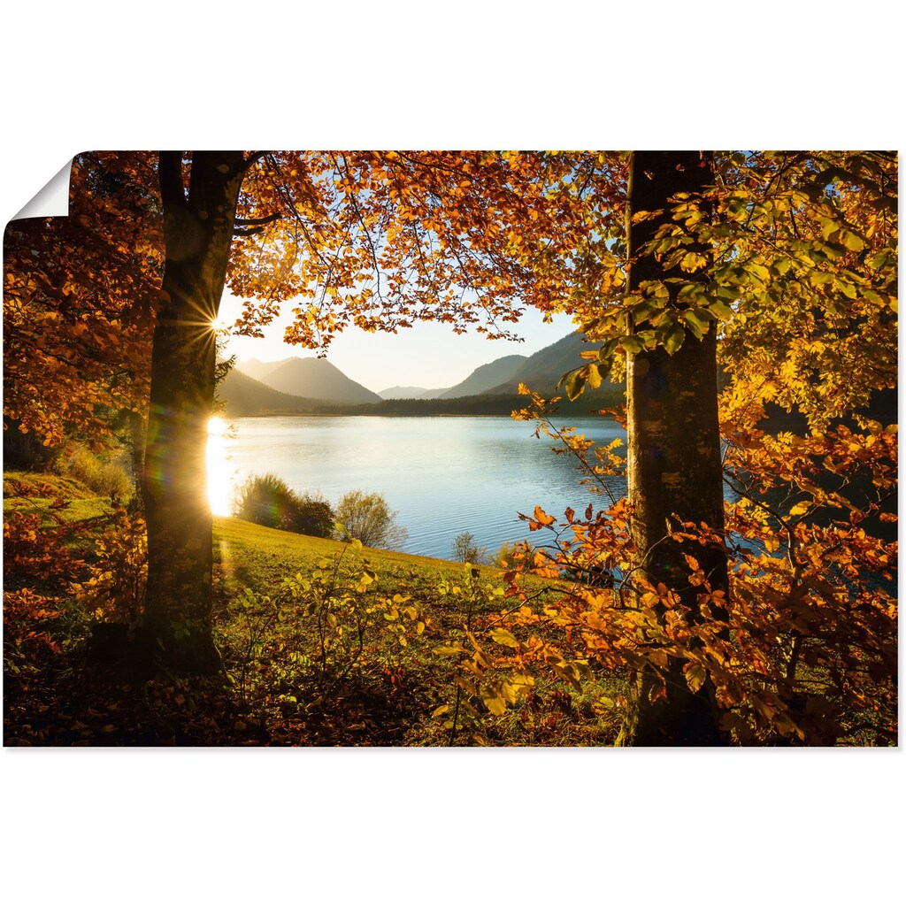 Artland Wandbild »Herbst am Sylvensteinsee«, Gewässer, (1 St.)