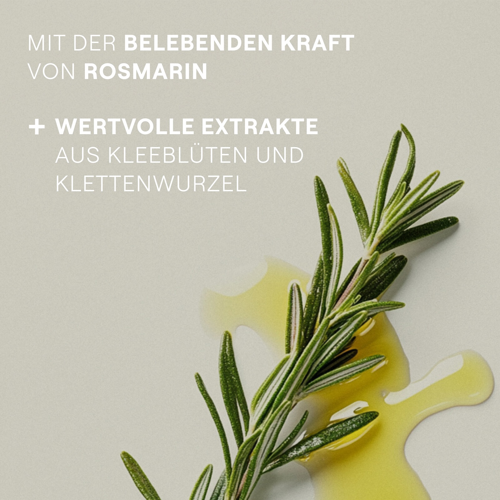 WELEDA Haaröl »Intensiv pflegendes Haaröl« beruhigt und entspannt die Kopfhaut