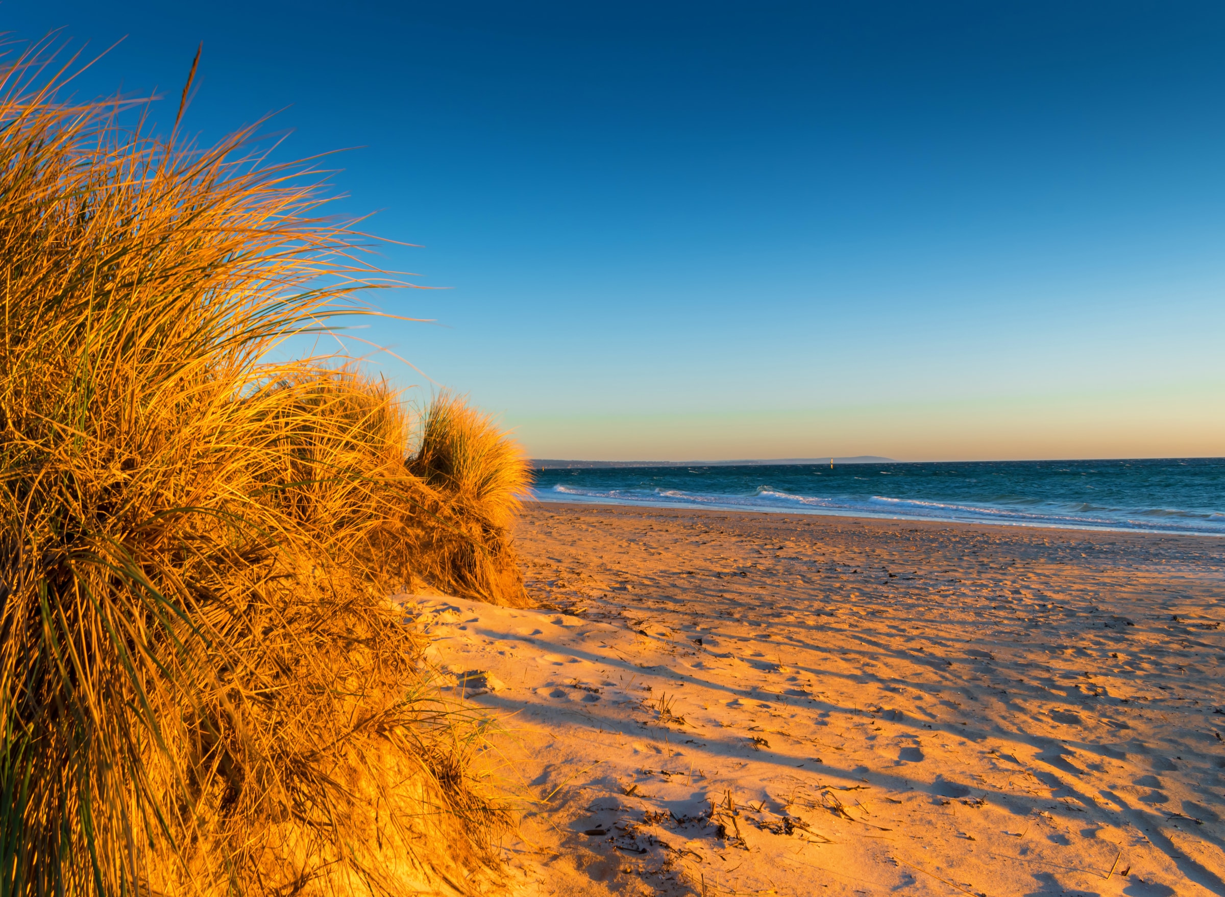 Papermoon Fototapete »Dunes Chelsea Beach Australia«