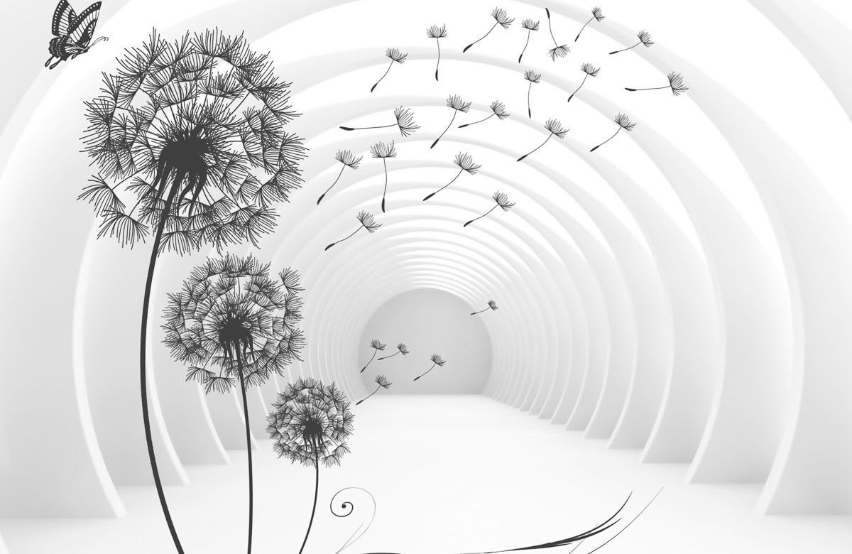 Papermoon Fototapete »Pusteblumen« in bunt, Größe B/L: 5 m m x 2,8 m m