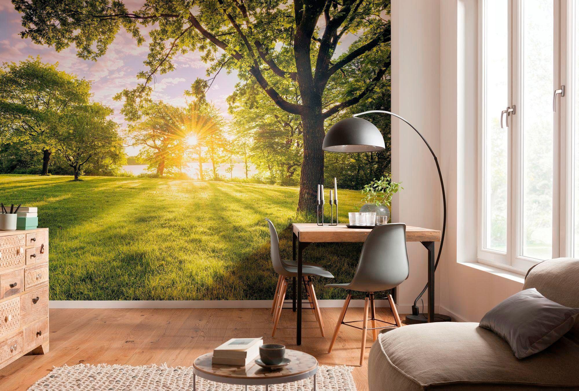 Komar Vliestapete »Digitaldruck Vlies -  Golden Moment - Größe 400 x 250 cm« bedruckt glatt Wohnzimmer, Schlafzimmer
