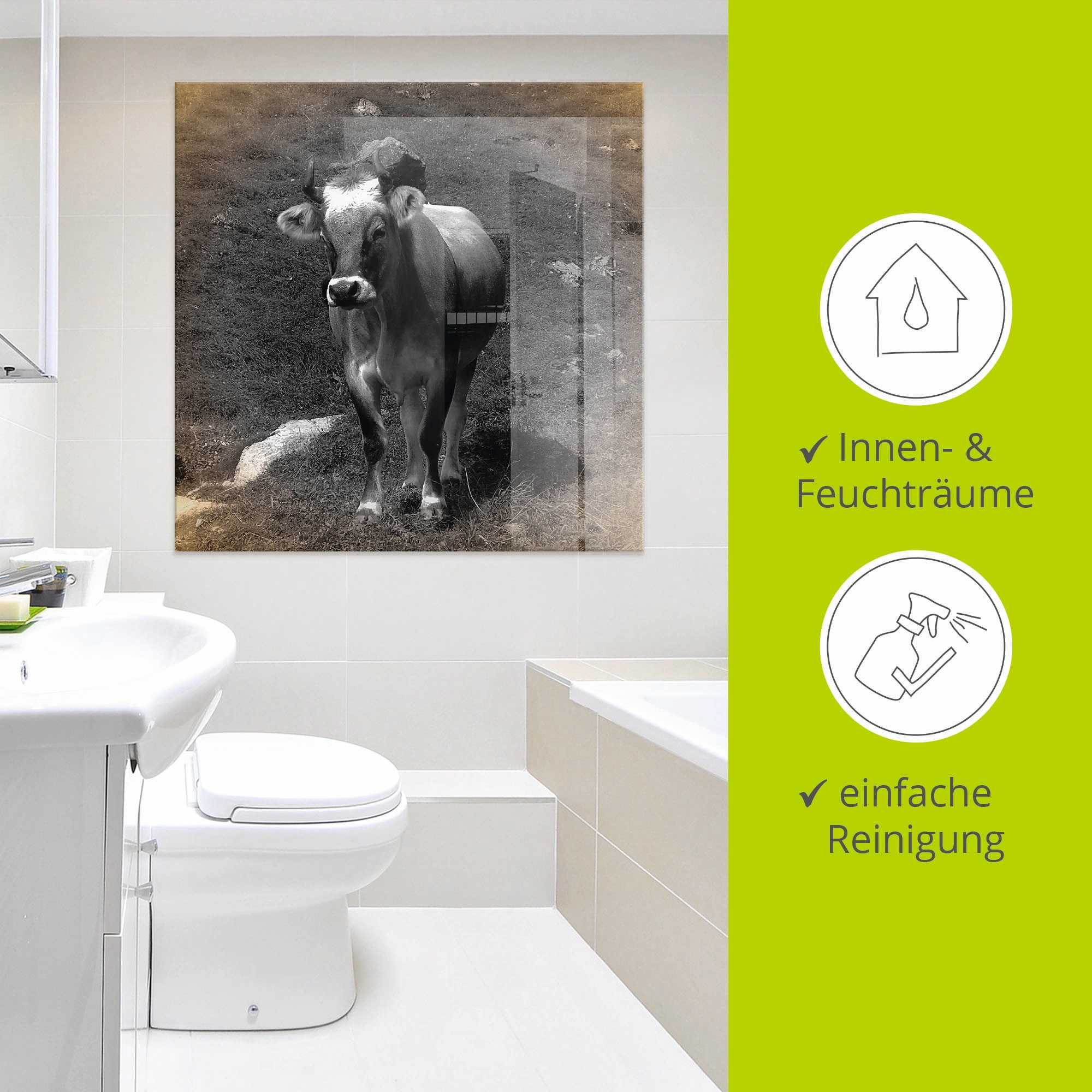 Artland Glasbild »Kuh Kontakt«, Haustiere, (1 St.), in verschiedenen Größen