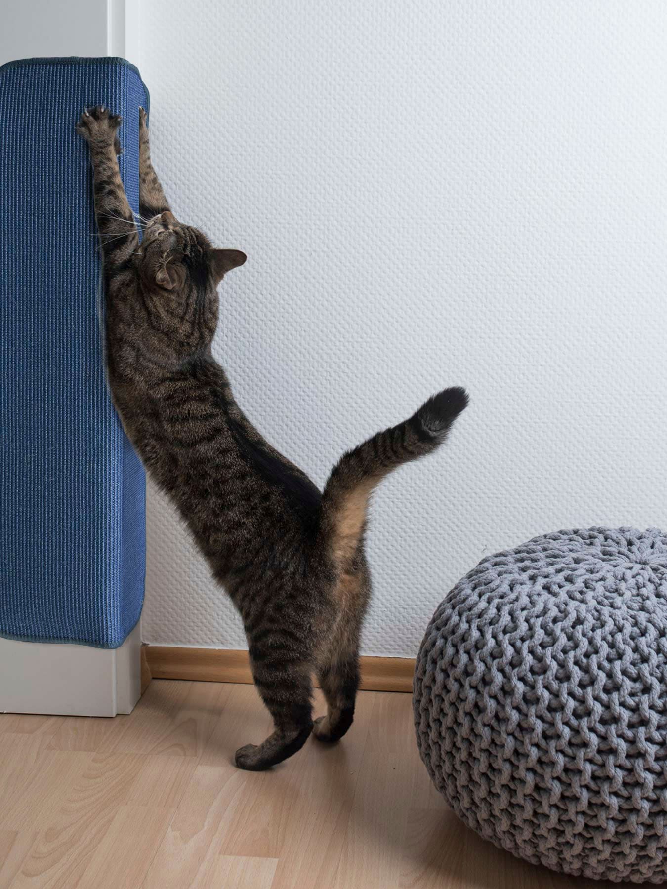 Primaflor-Ideen In Textil Kratzbrett »Katzen-Kratzmatte SISALLUX in blau, Größe B/H/L: 100 cm x 0,6 cm x 200 cm