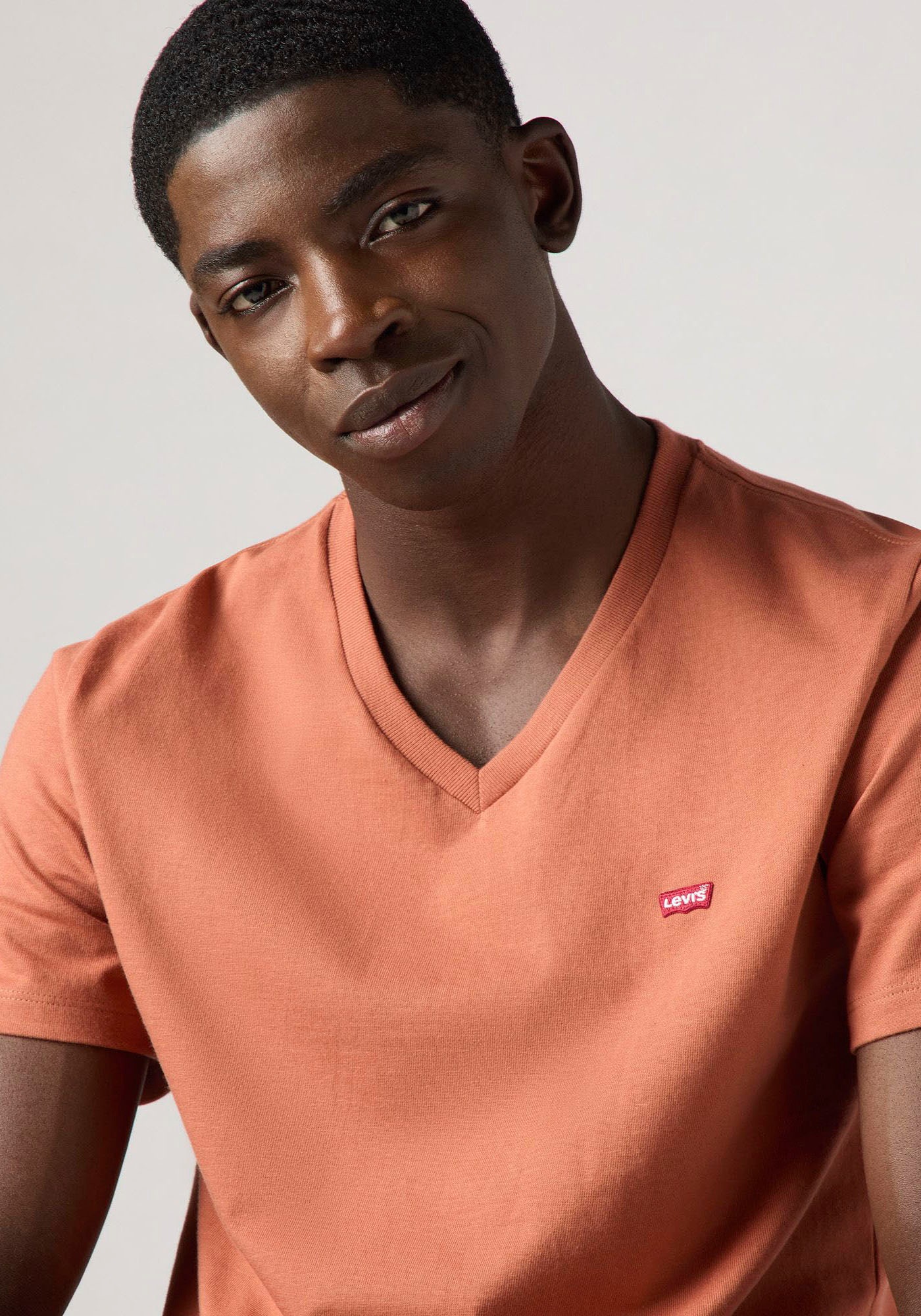 Levi's® V-Shirt »LE ORIGINAL HM VNECK«, mit Logostickerei