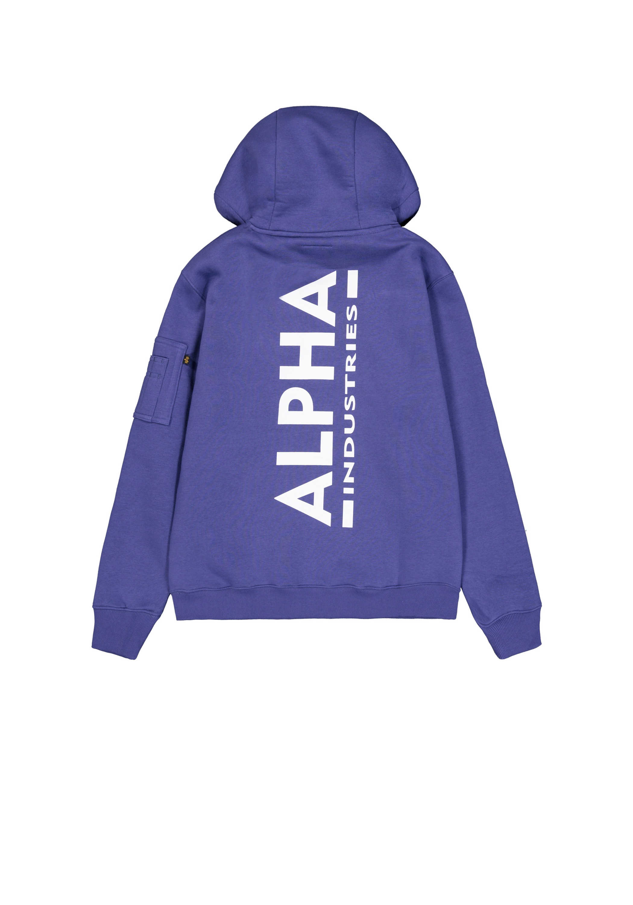 Alpha Industries Hoodie »Backprint Hoodie «
