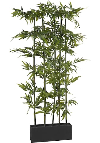 Creativ green Kunstpflanze »Bambus«, (1 St.) kaufen