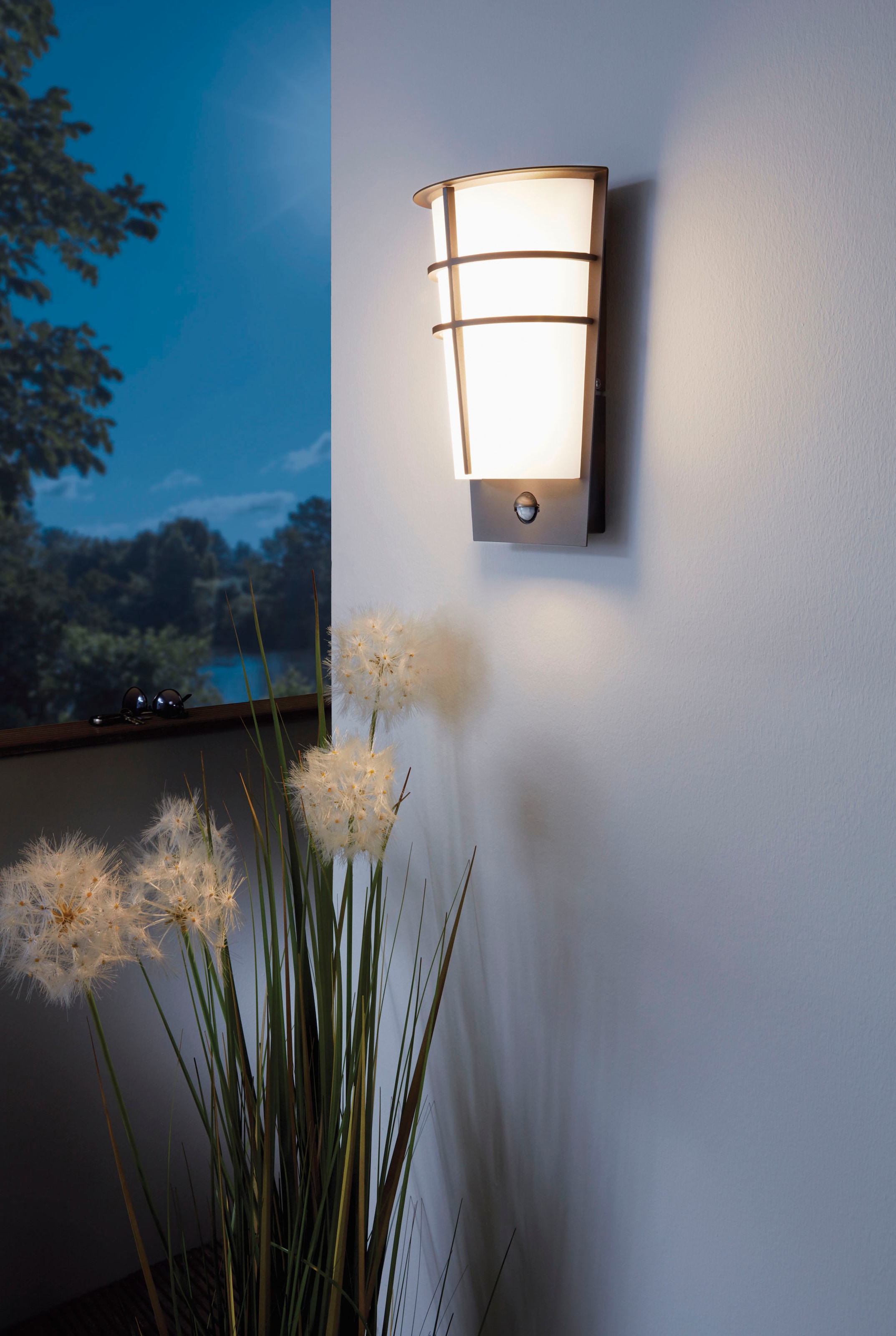 EGLO LED Außen-Wandleuchte »BREGANZO1«, 2 flammig, Leuchtmittel LED-Board | LED fest integriert, Eckmontage möglich, LED tauschbar