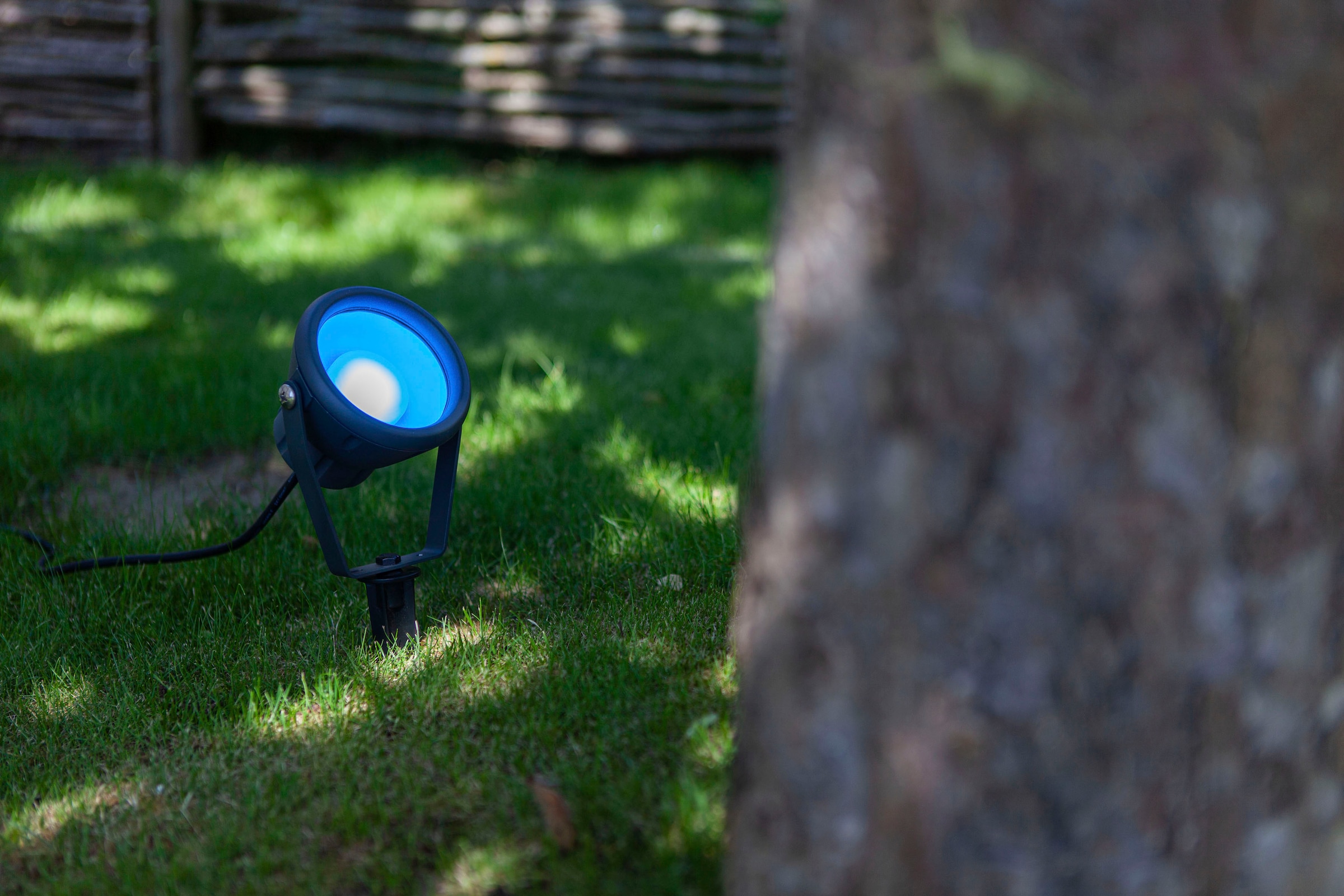 »MINI Smart-Home bestellen bei OTTO LETO«, LUTEC LED-Leuchte Smarte
