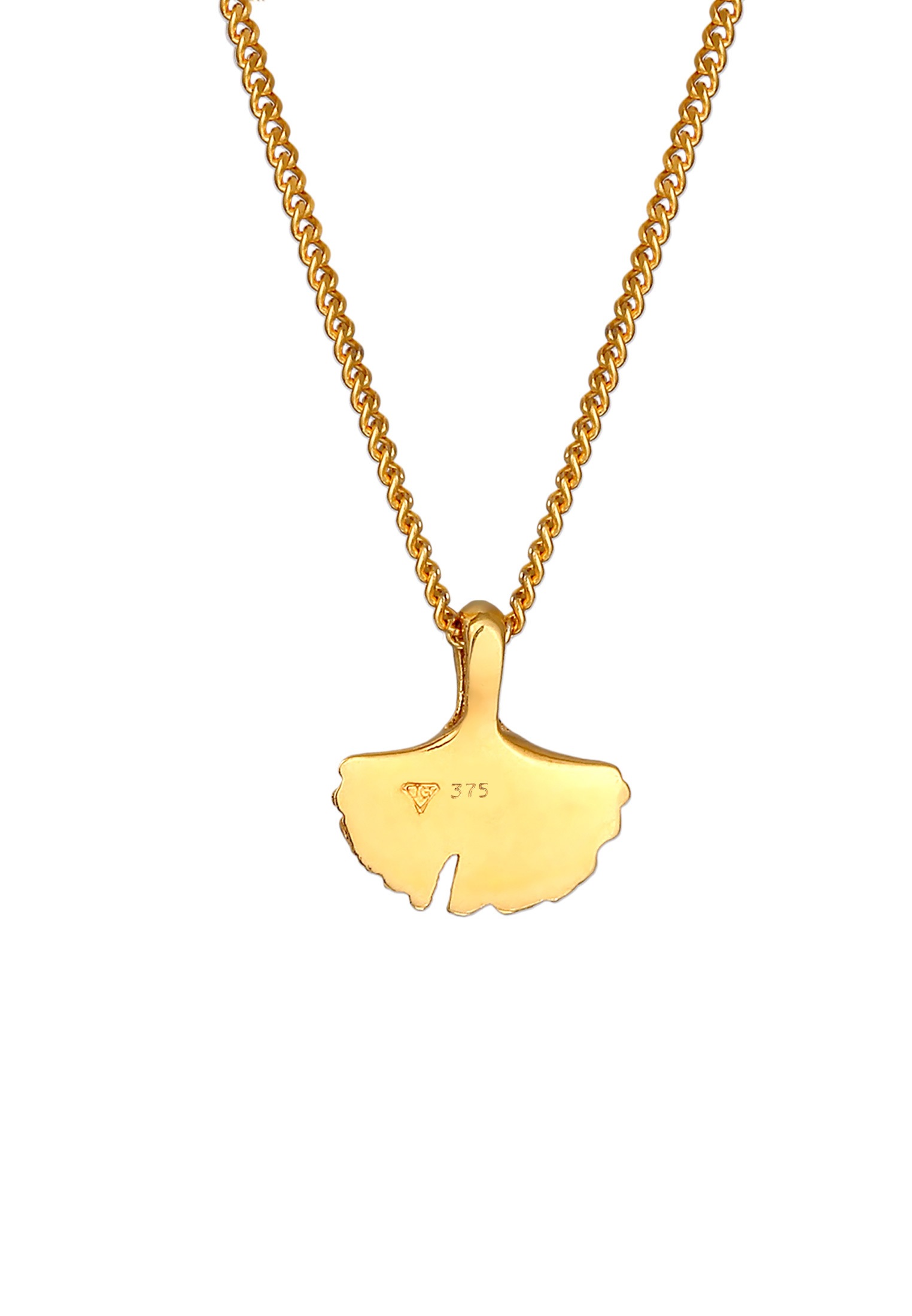 Elli Premium Kette mit Anhänger »Halskette Ginkgo Blatt Anhänger Natur 375er Gelbgold«