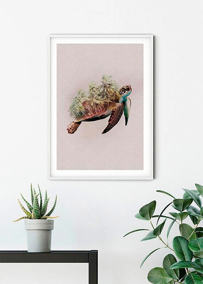 Komar Poster »Animals Paradise Turtle«, Tiere, (1 St.), Kinderzimmer, Schlafzimmer, Wohnzimmer