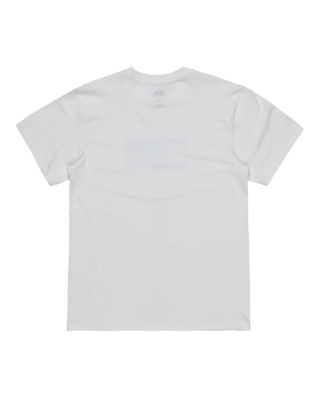 Quiksilver T-Shirt »Ev Gradient Box«