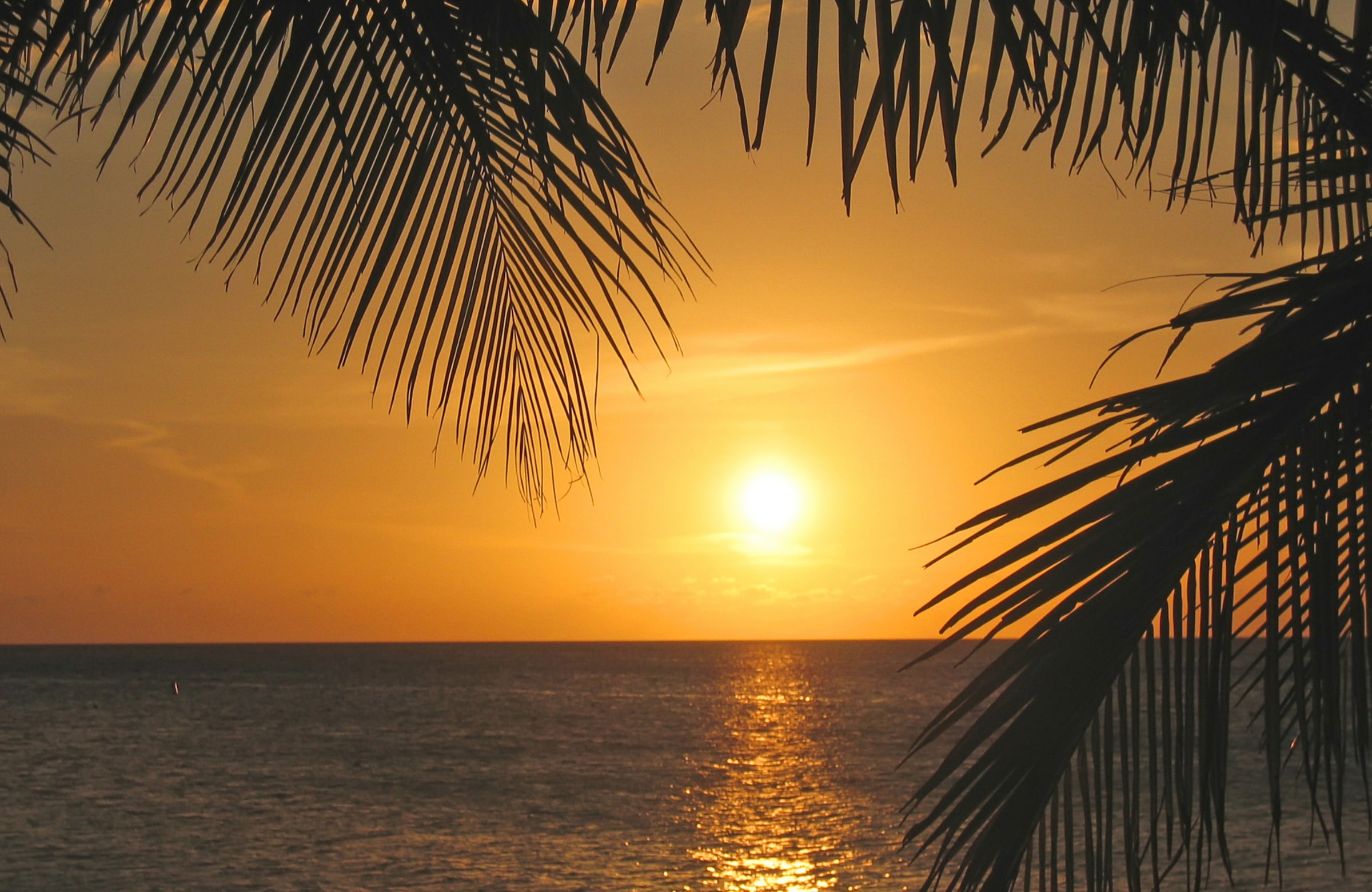 Fototapete »SONNENUNTERGANG-PALMEN STRAND MEER SEE OZEAN KARIBIK«