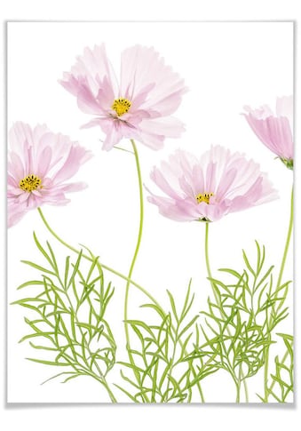 Wall-Art Poster »Sommerblume«, Blumen, (1 St.) kaufen