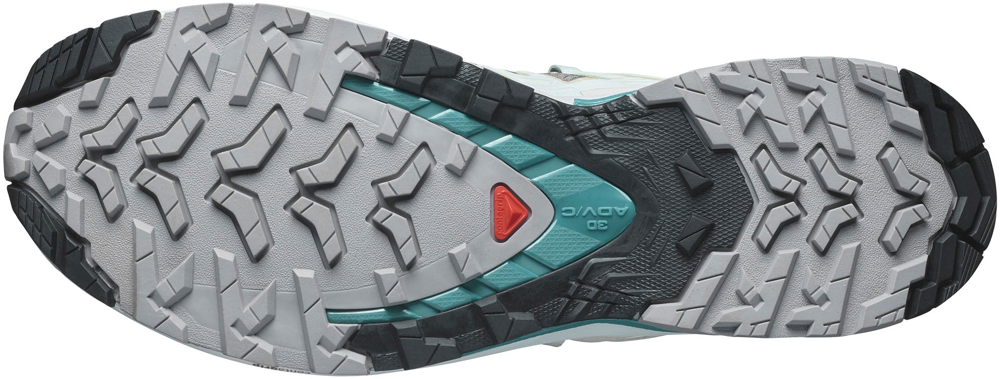 Salomon Trailrunningschuh »XA PRO 3D V9«