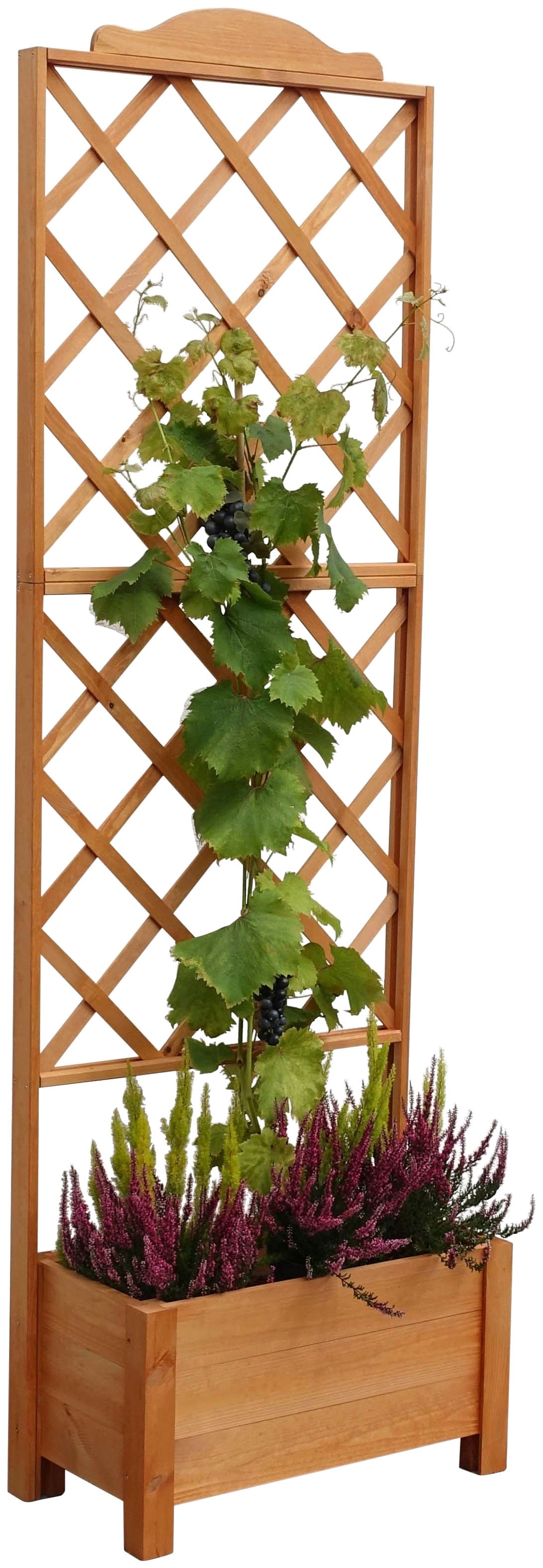 promadino Spalier mit Pflanzkasten, BxTxH: 69x32x210 cm