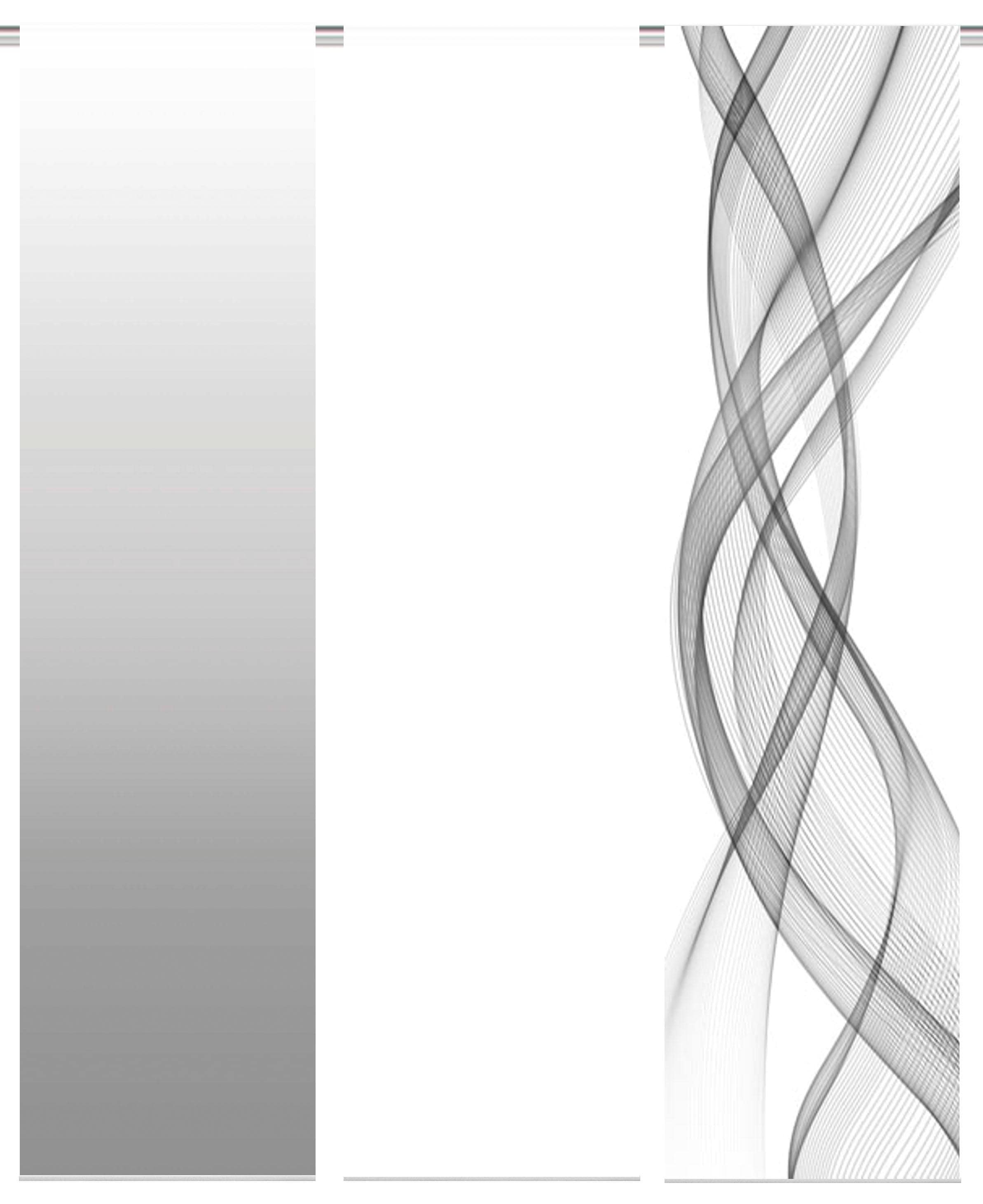 HOME WOHNIDEEN Schiebegardine »FERROLA« Klettband 3 Stk. tlg. HxB: 245x60, inkl. Befestigungszubehör