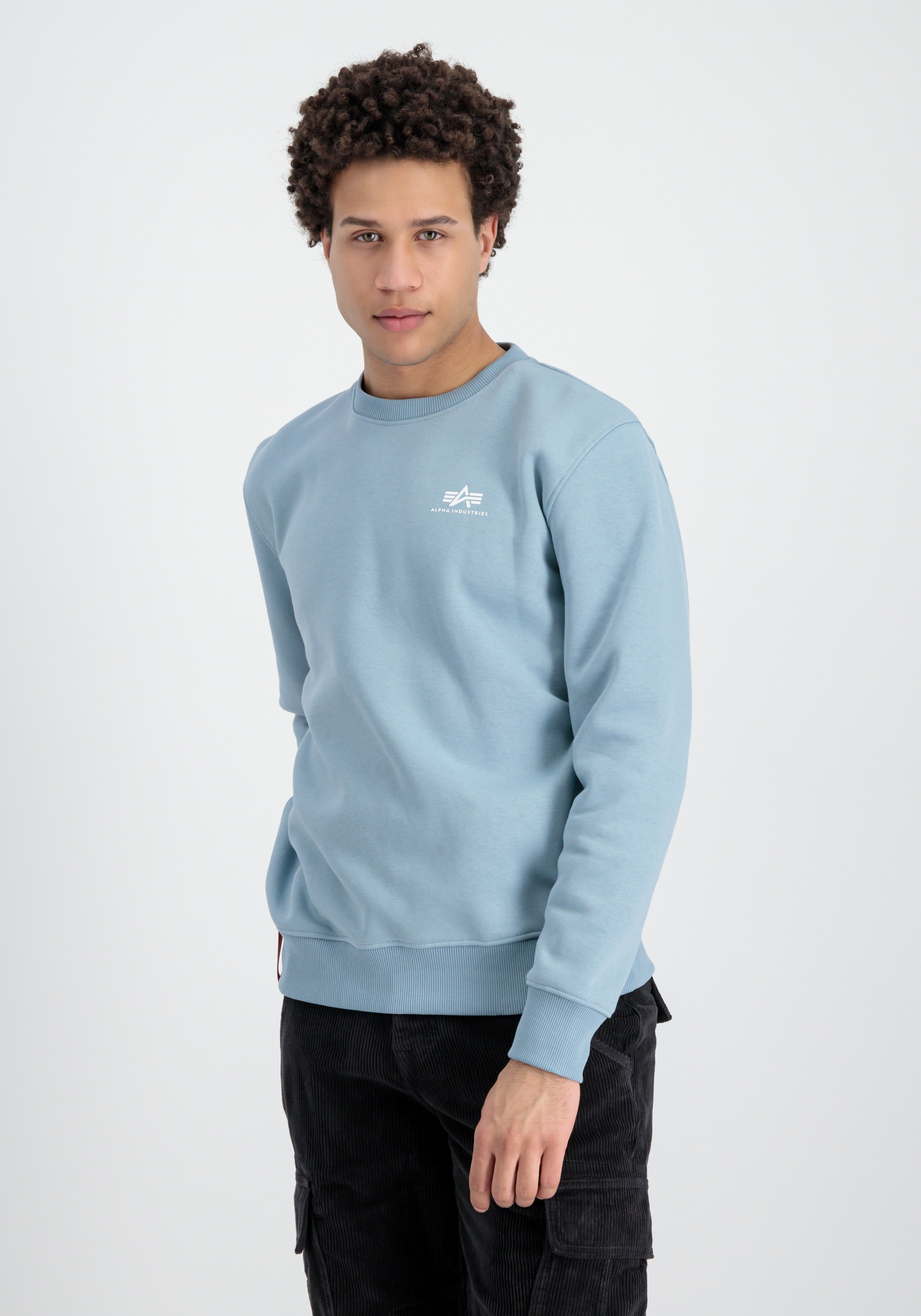 Alpha Industries Sweater »Alpha Industries Men - Sweatshirts Basic Sweater Small Logo«